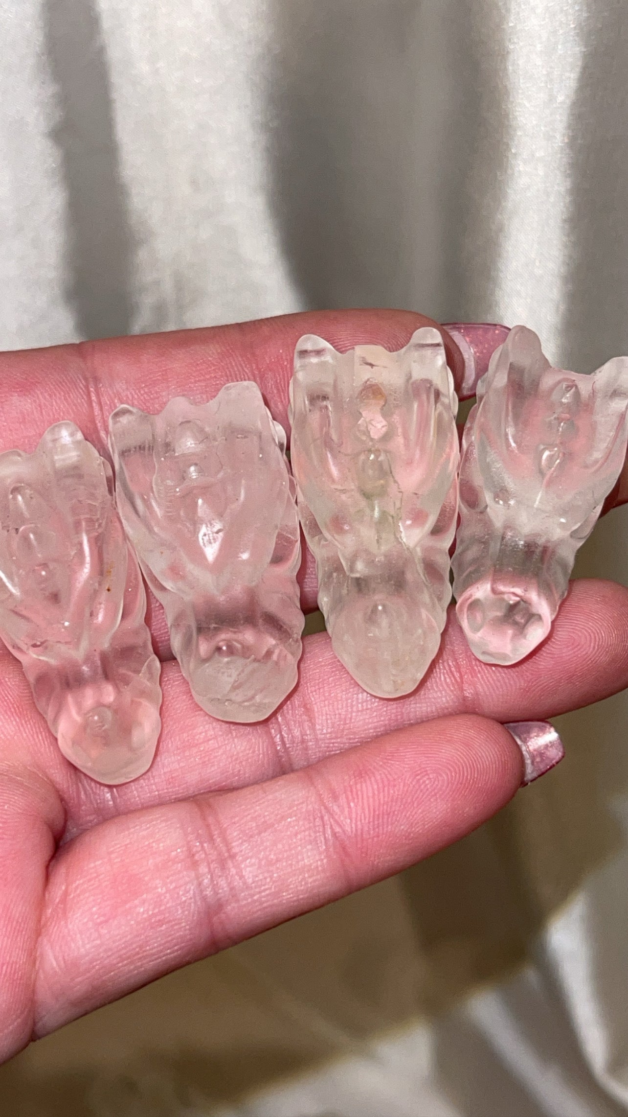 Variety Mini Dragon Head