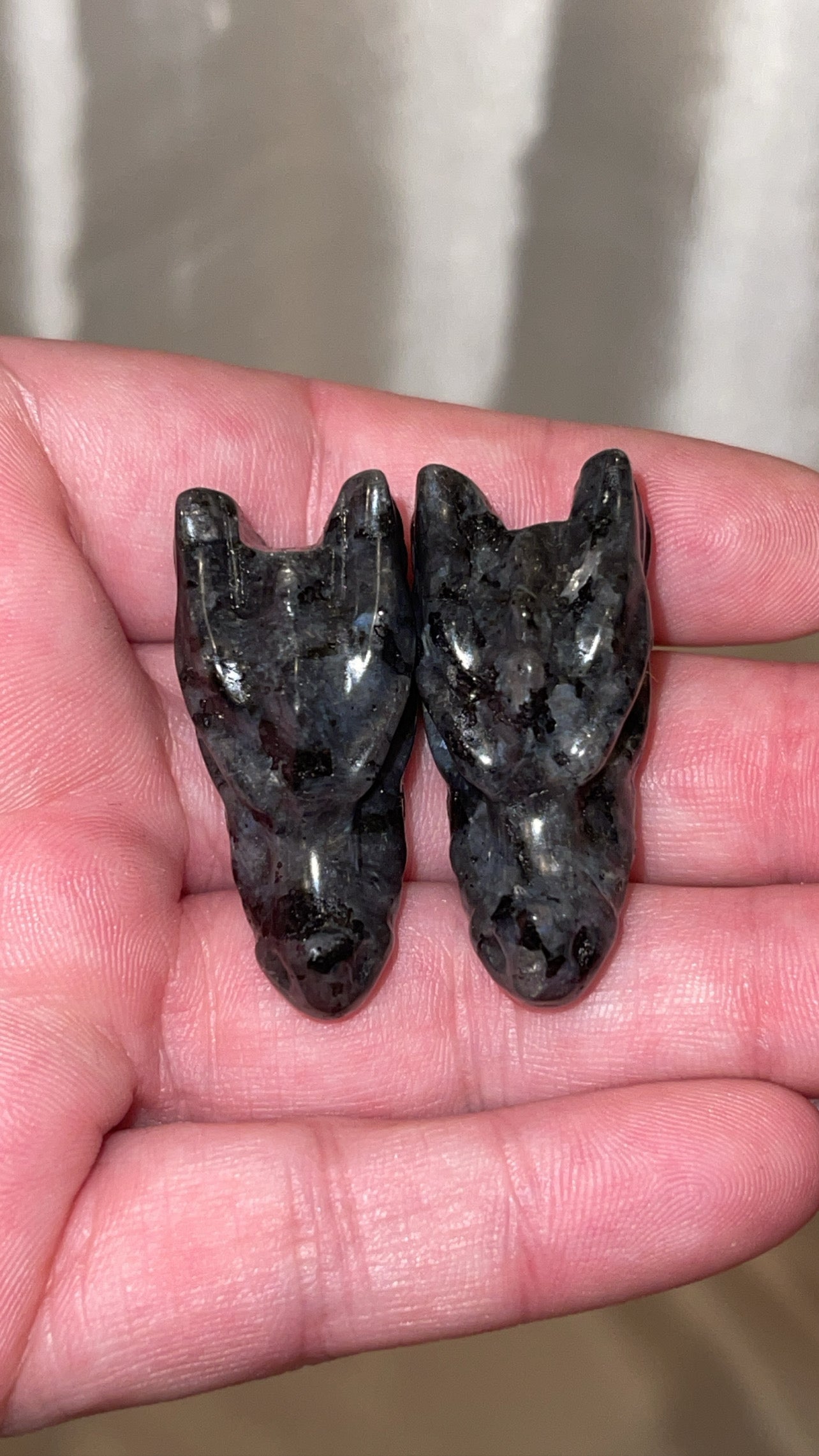 Variety Mini Dragon Head