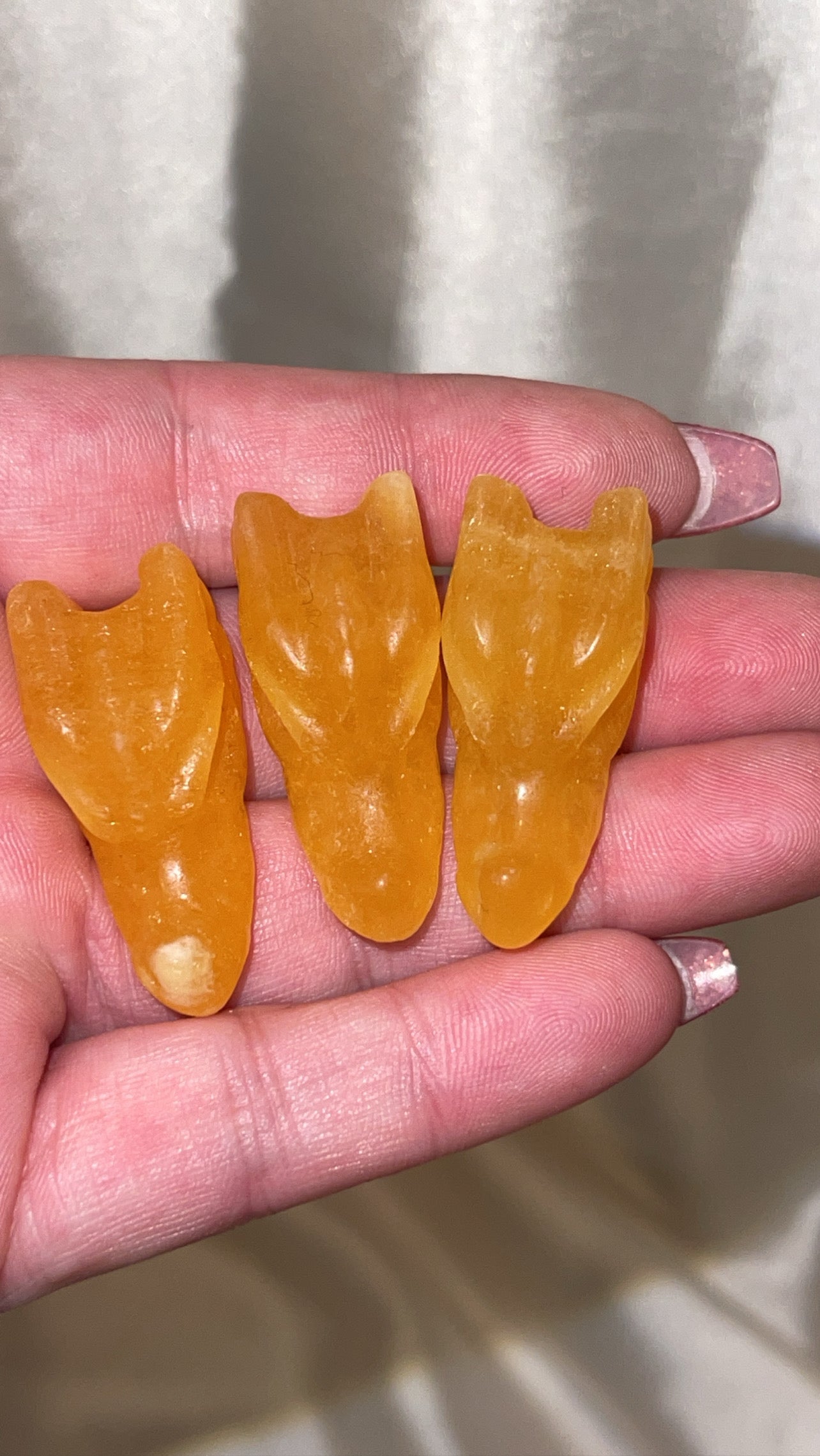 Variety Mini Dragon Head