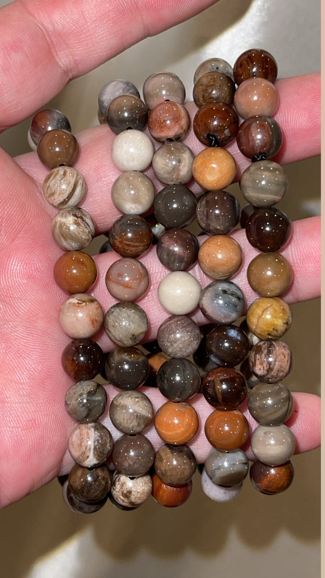 Petrified Wood Bracelet 8mm