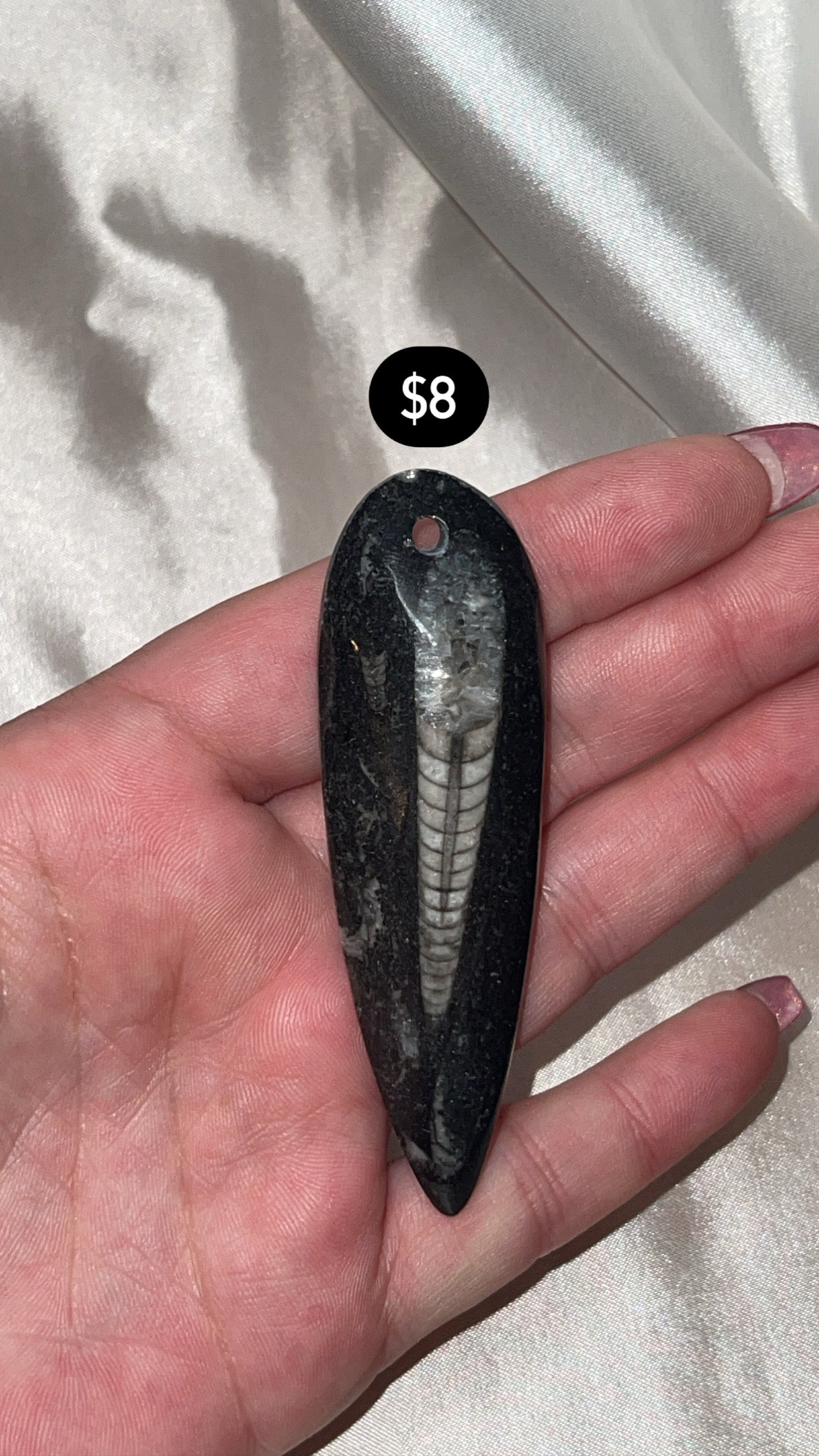 Orthocerra Fossil Drilled (Choose Your Own)