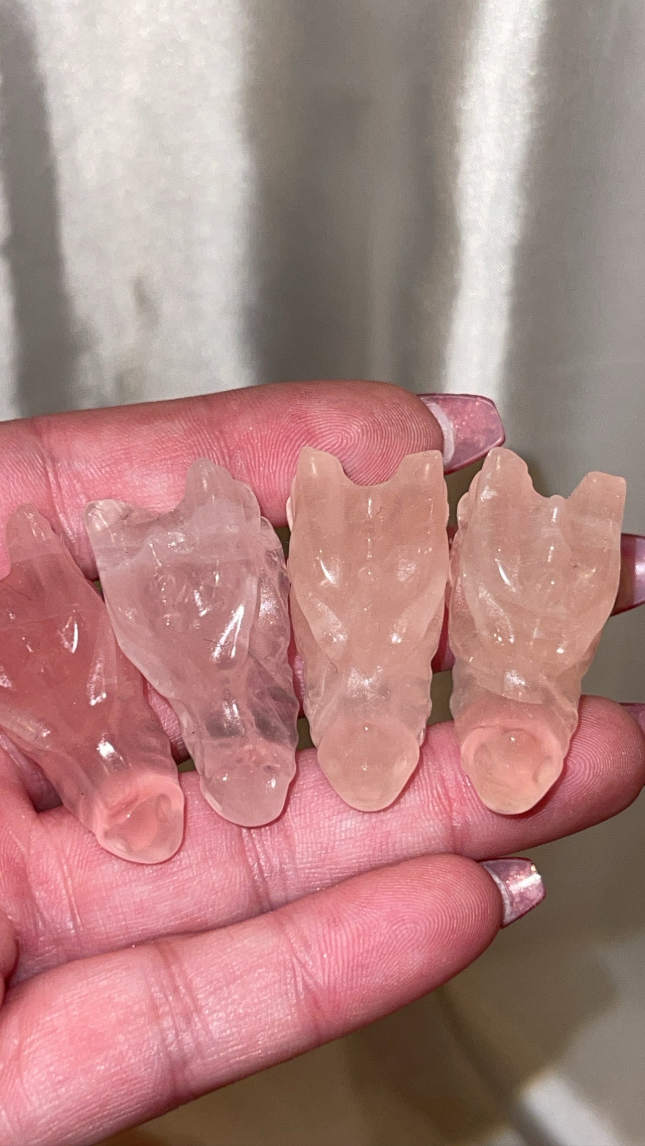 Variety Mini Dragon Head