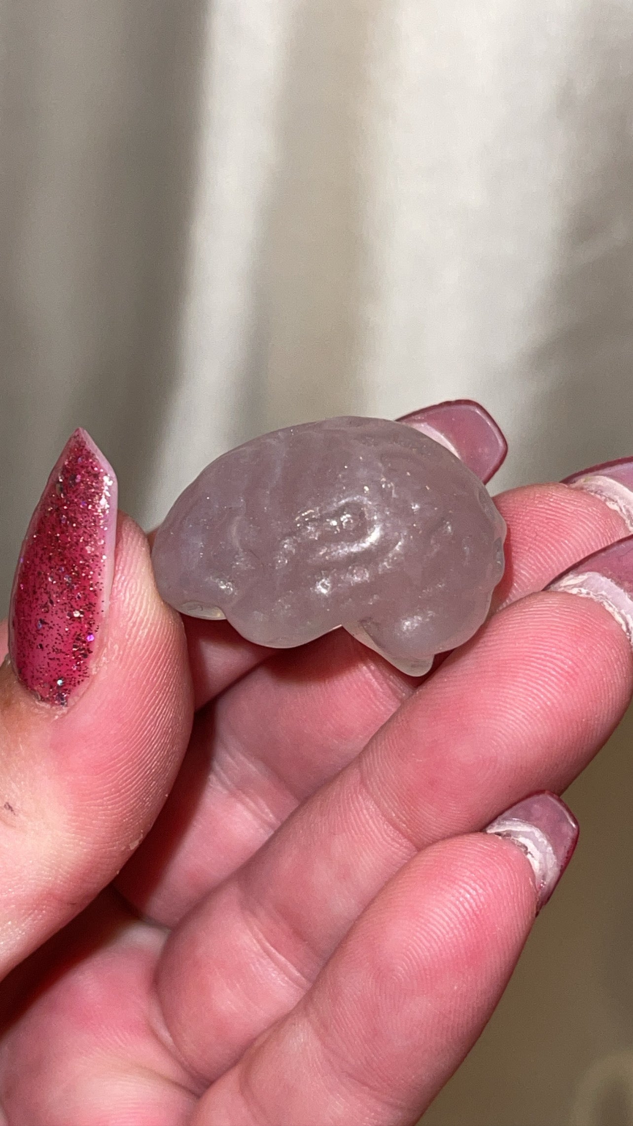 Anatomical Organ Crystal