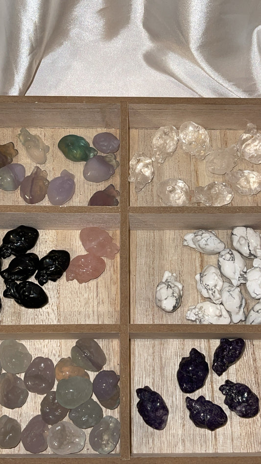 Anatomical Organ Crystal