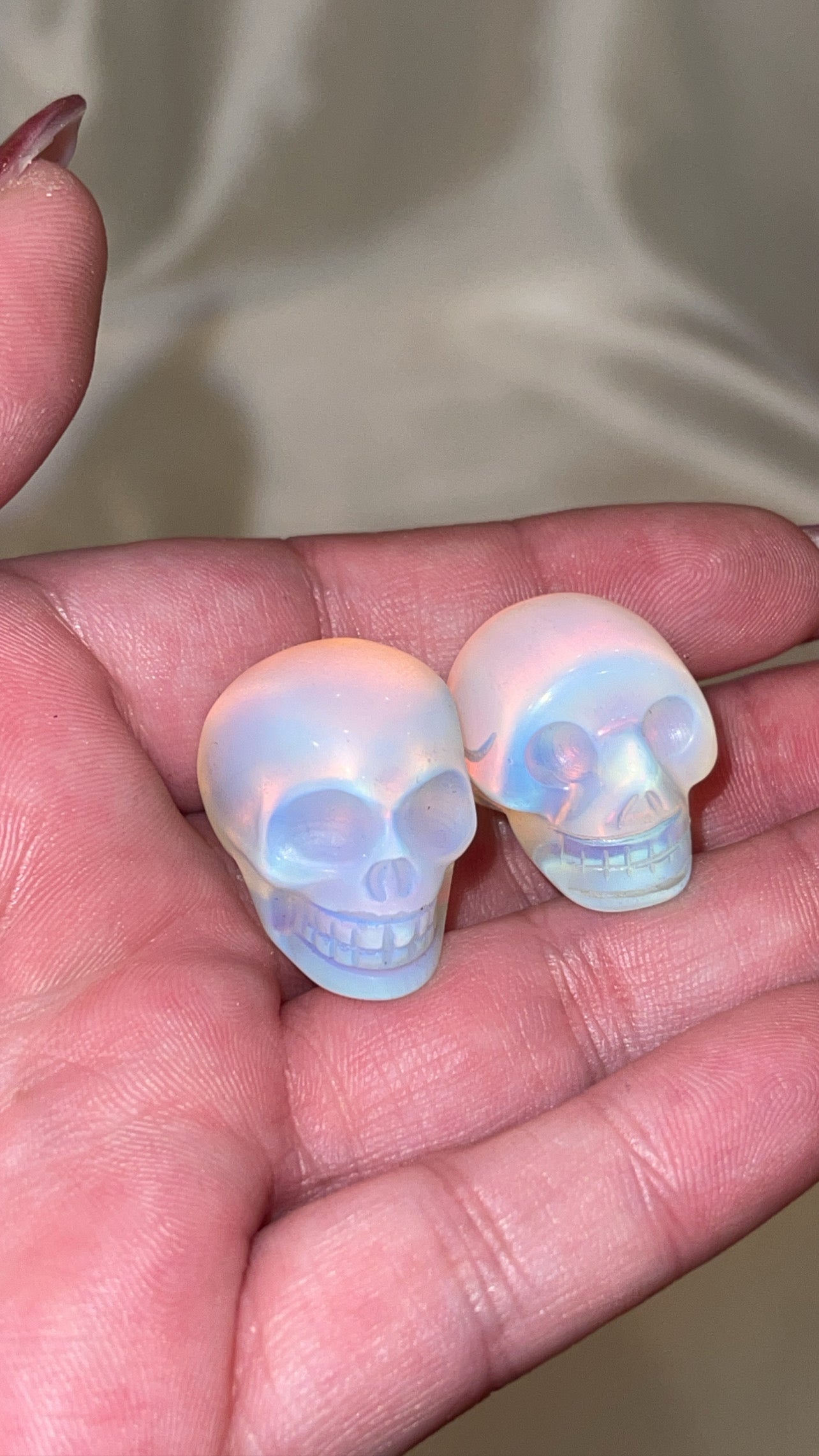 Variety Mini Skull
