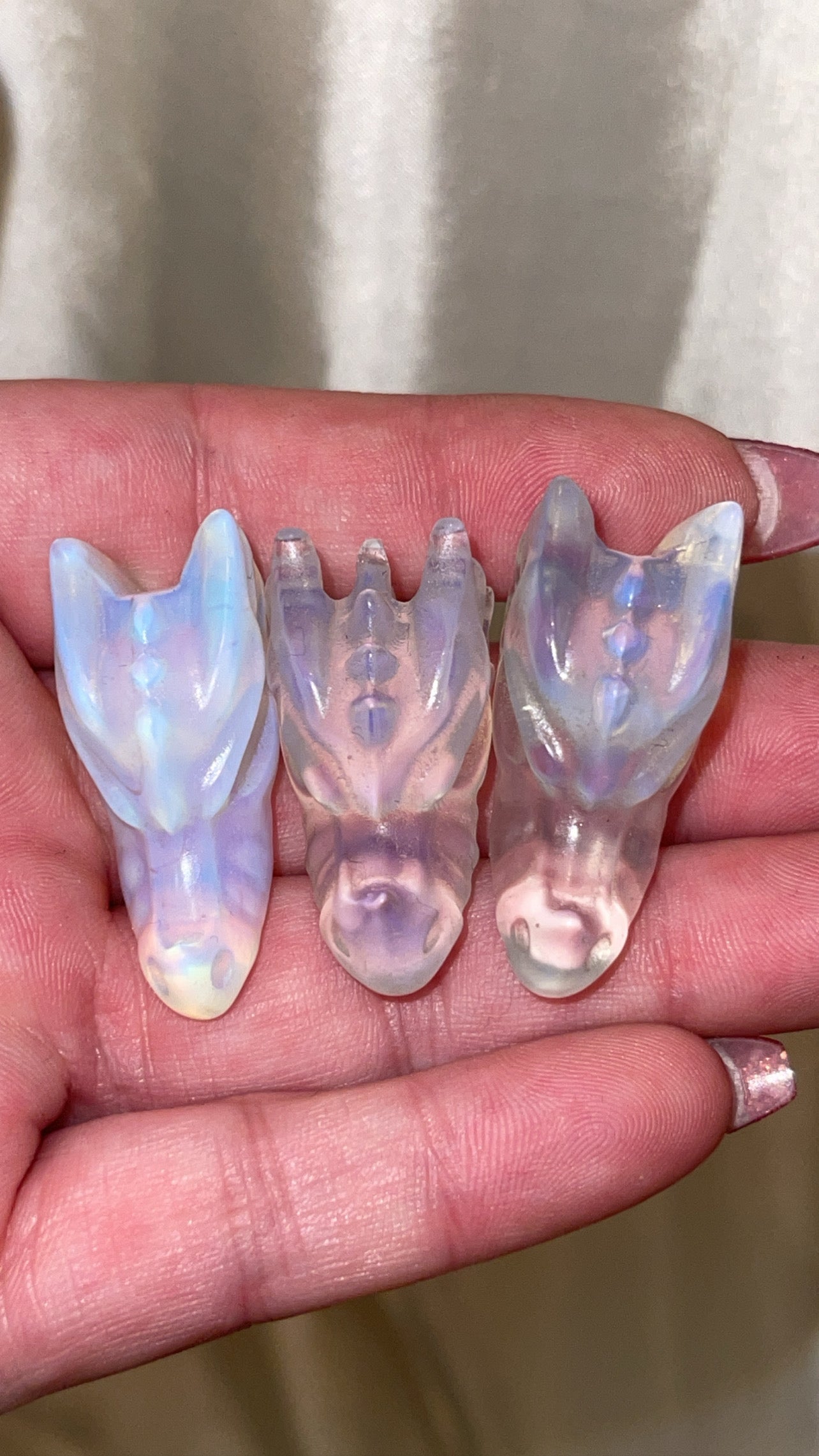 Variety Mini Dragon Head