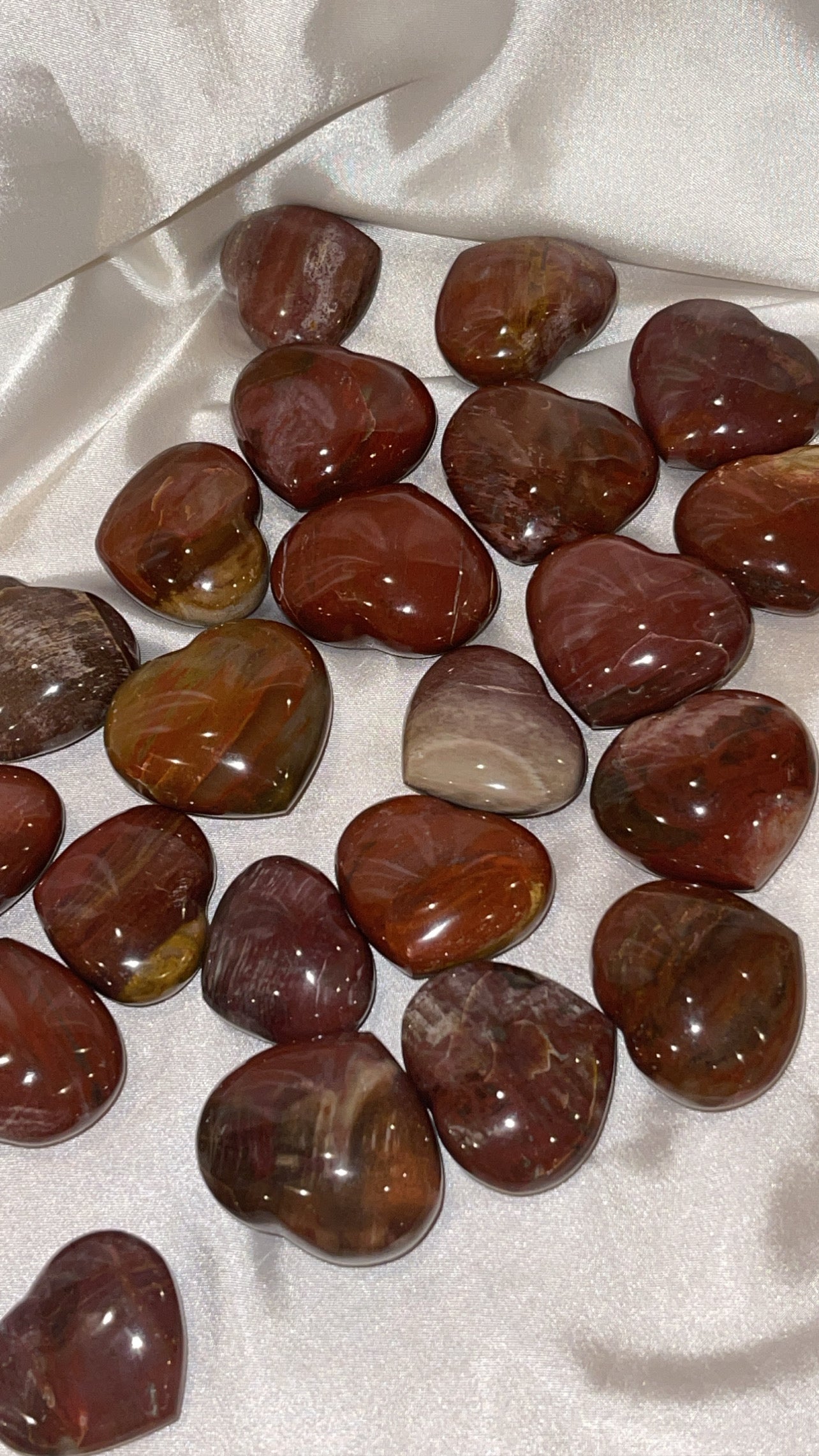 Petrified Wood Puffy Heart