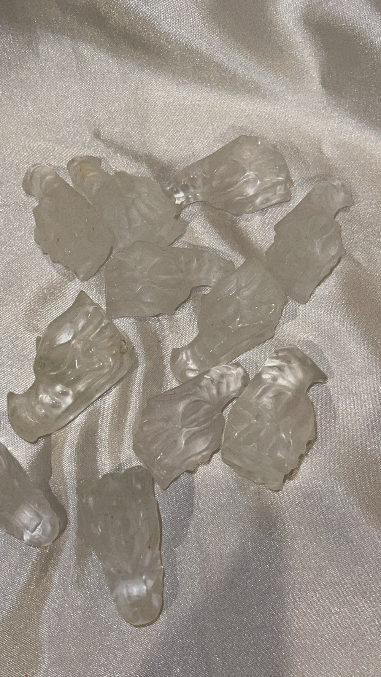 Variety Mini Dragon Head