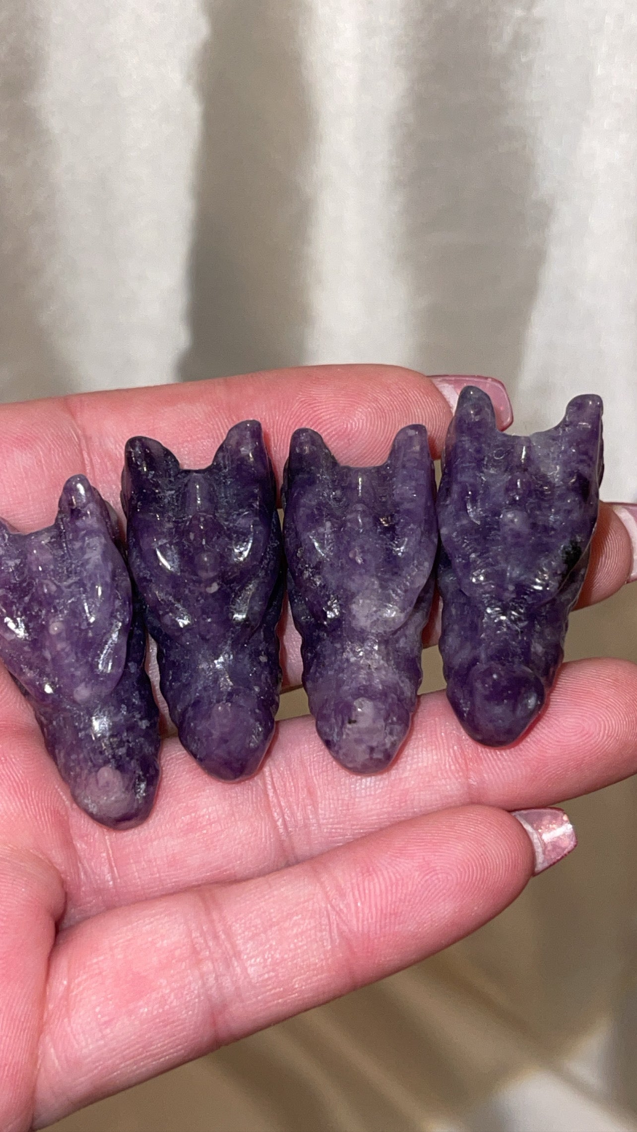 Variety Mini Dragon Head