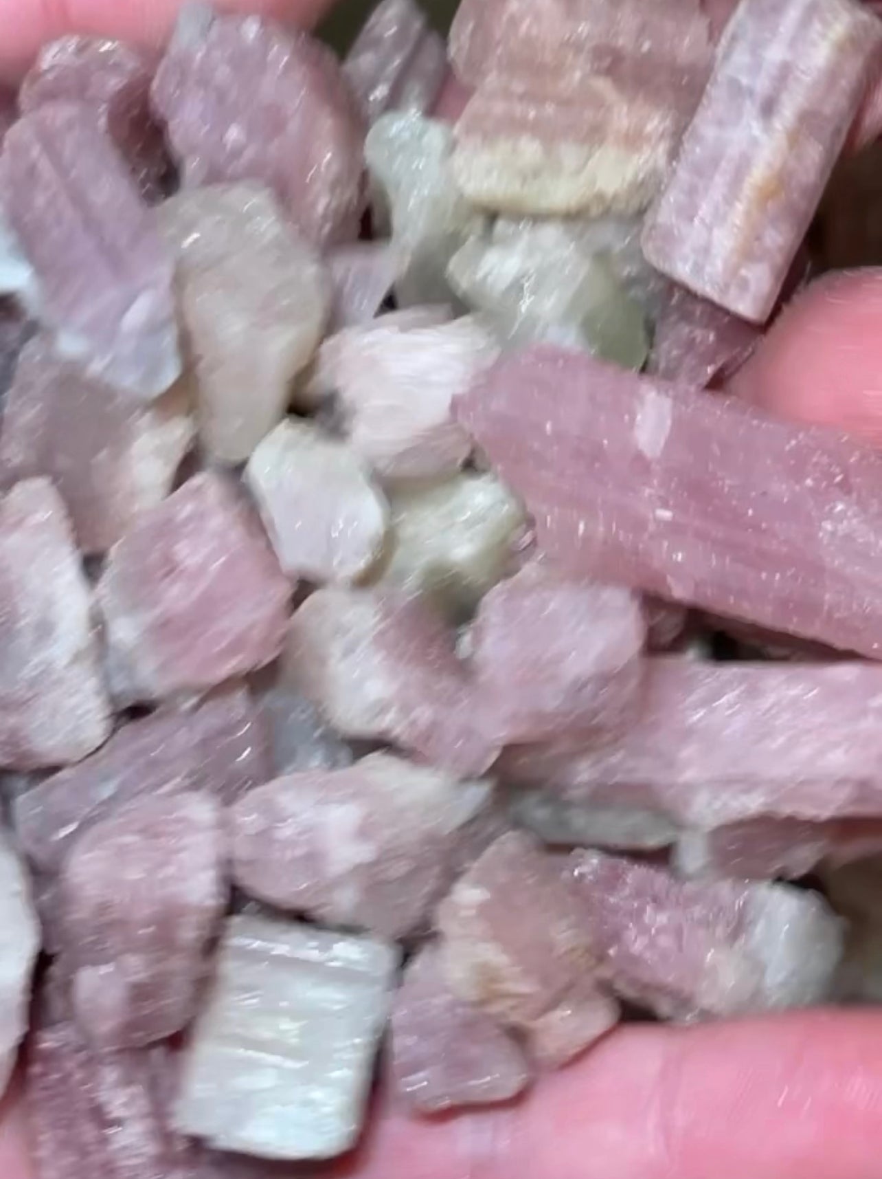 Watermelon Tourmaline Raw 50gram/100gram Bundle