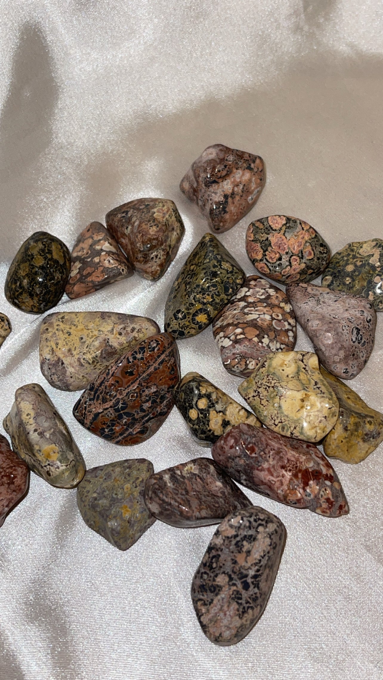 Leopard Jasper Tumble