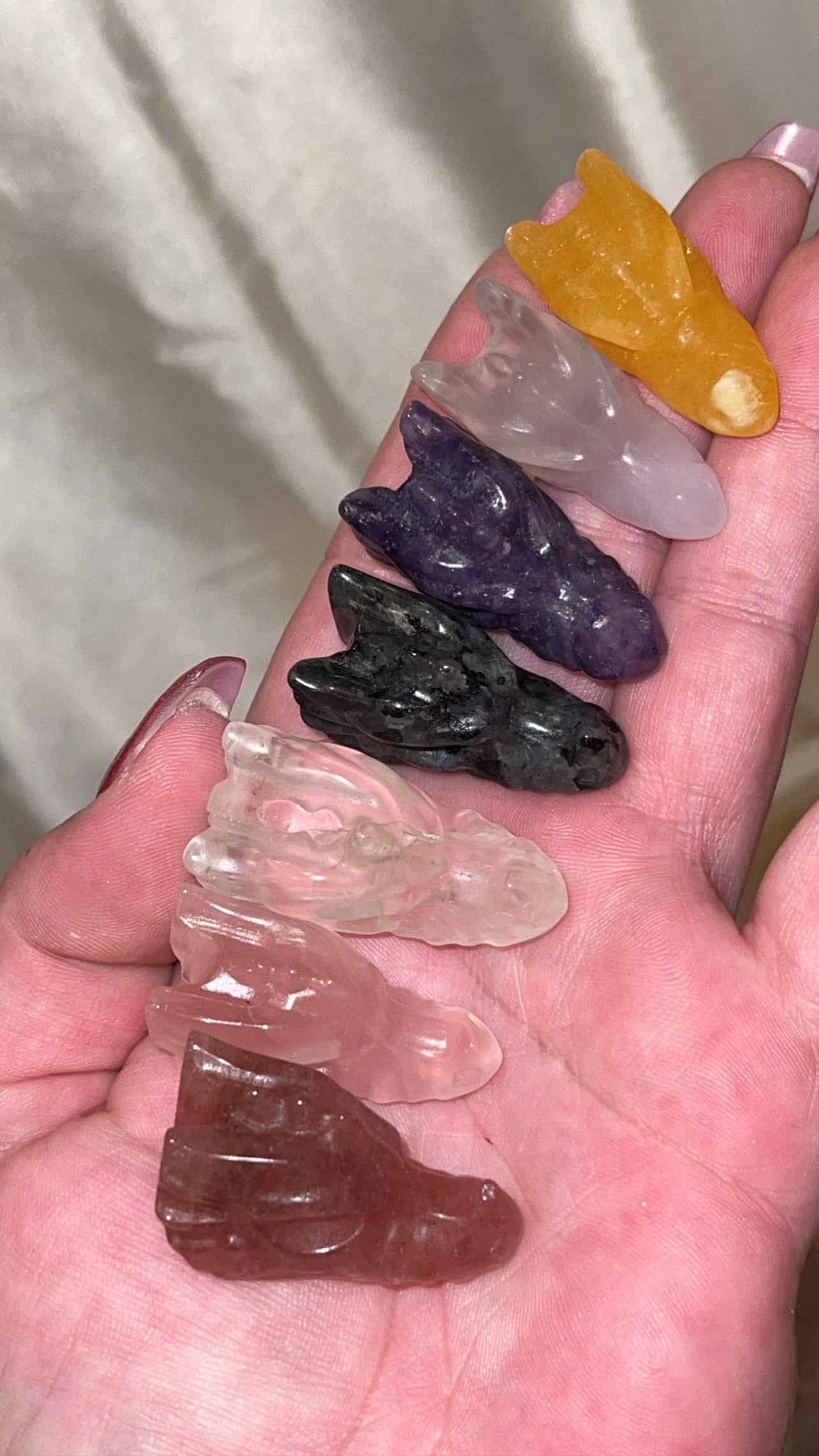 Variety Mini Dragon Head