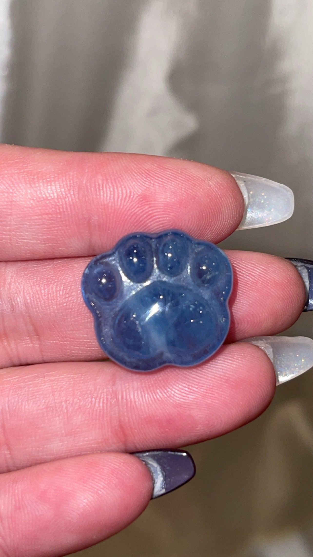 Aquamarine Paw