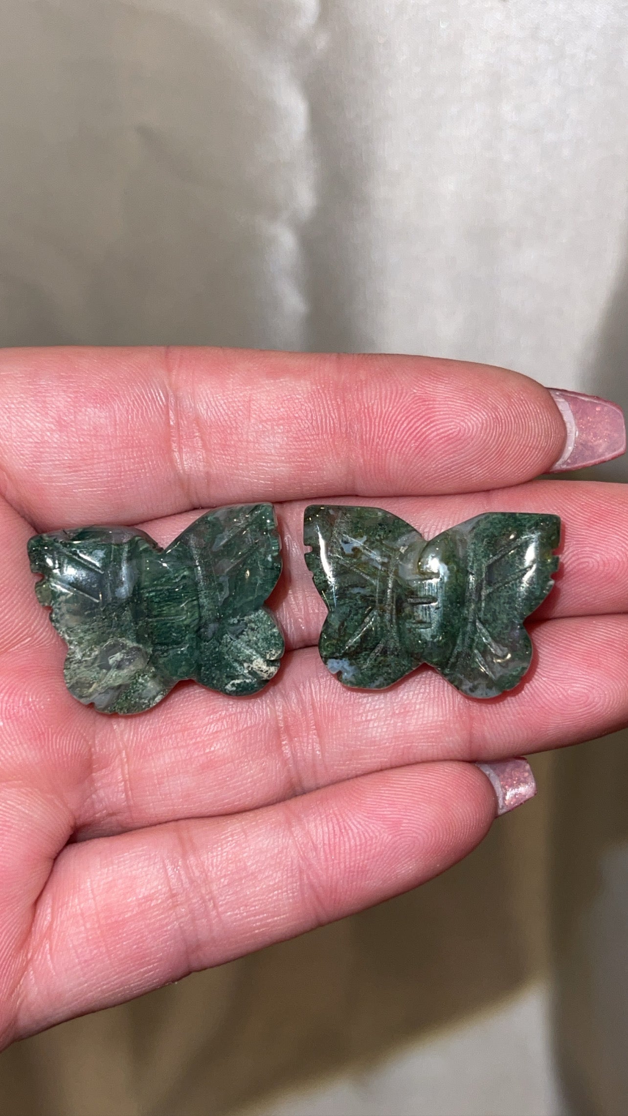 Variety Mini Butterfly