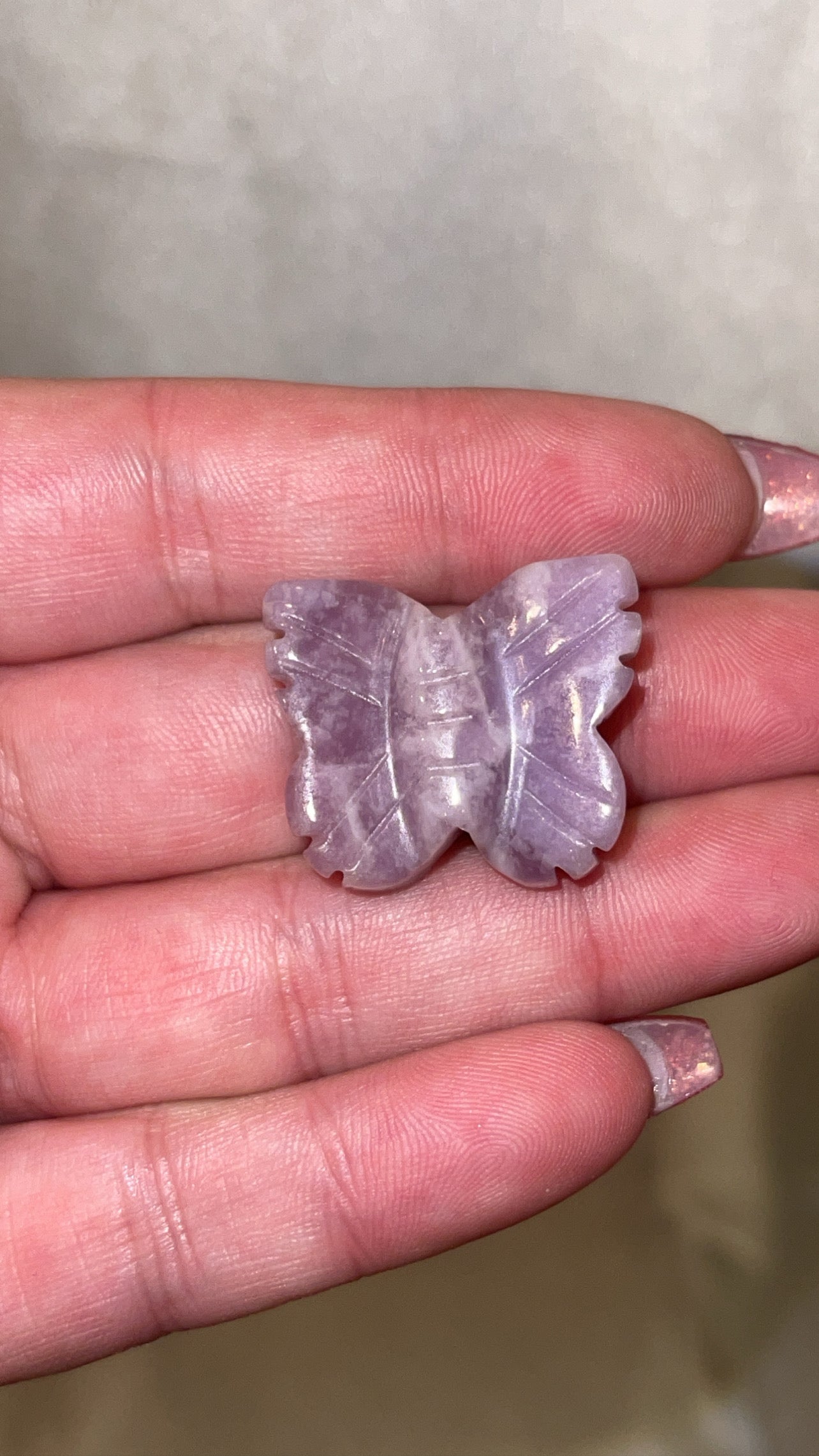 Variety Mini Butterfly