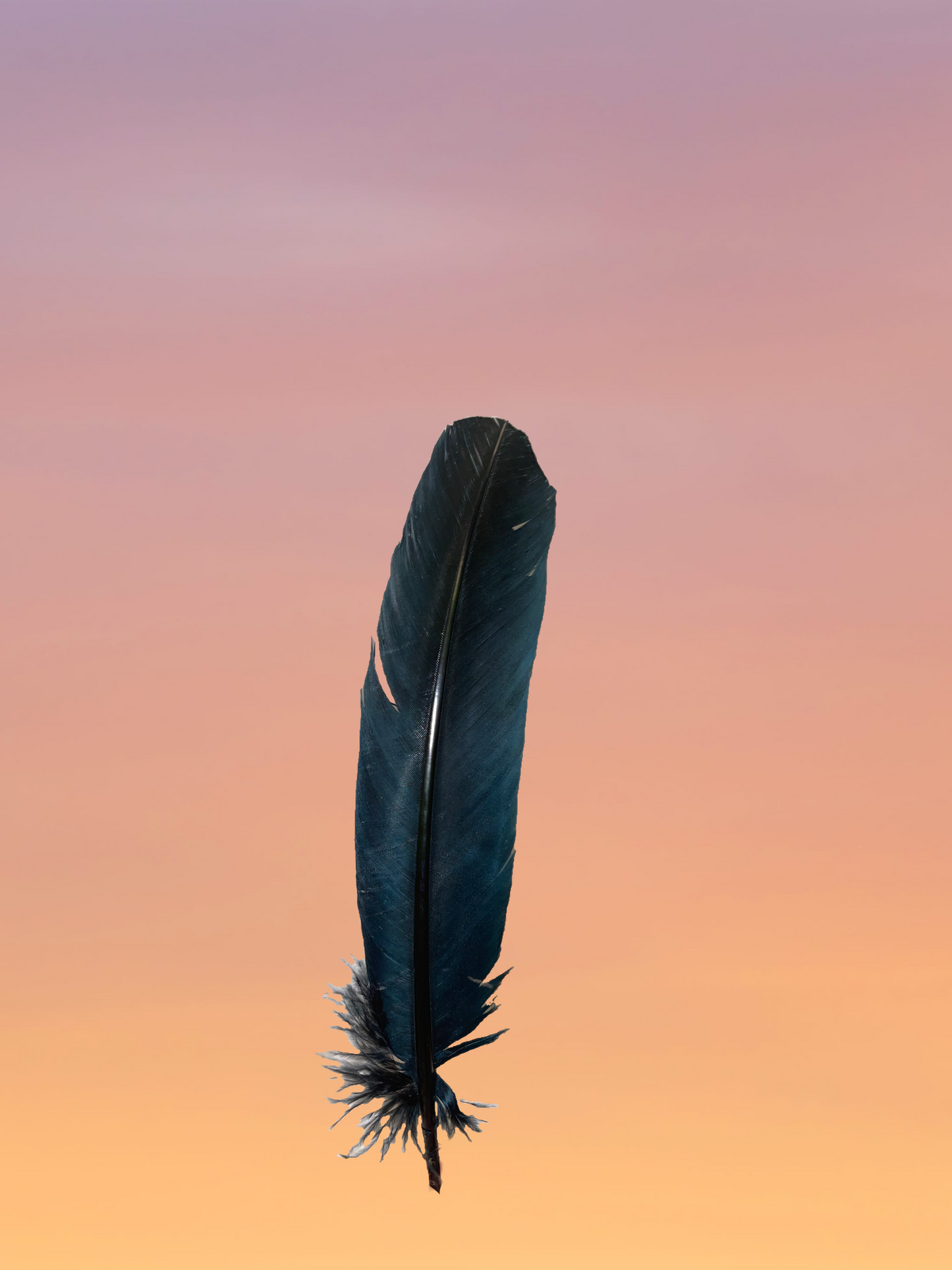 Large Iridescent Smudge Feather