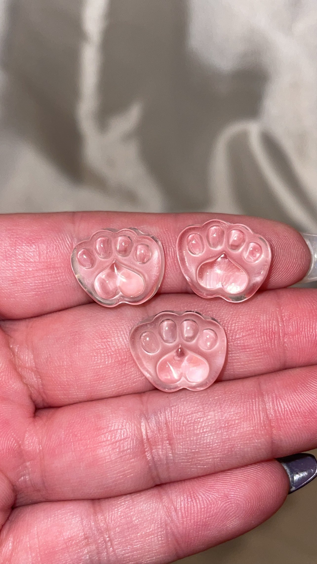 Variety Mini Paw