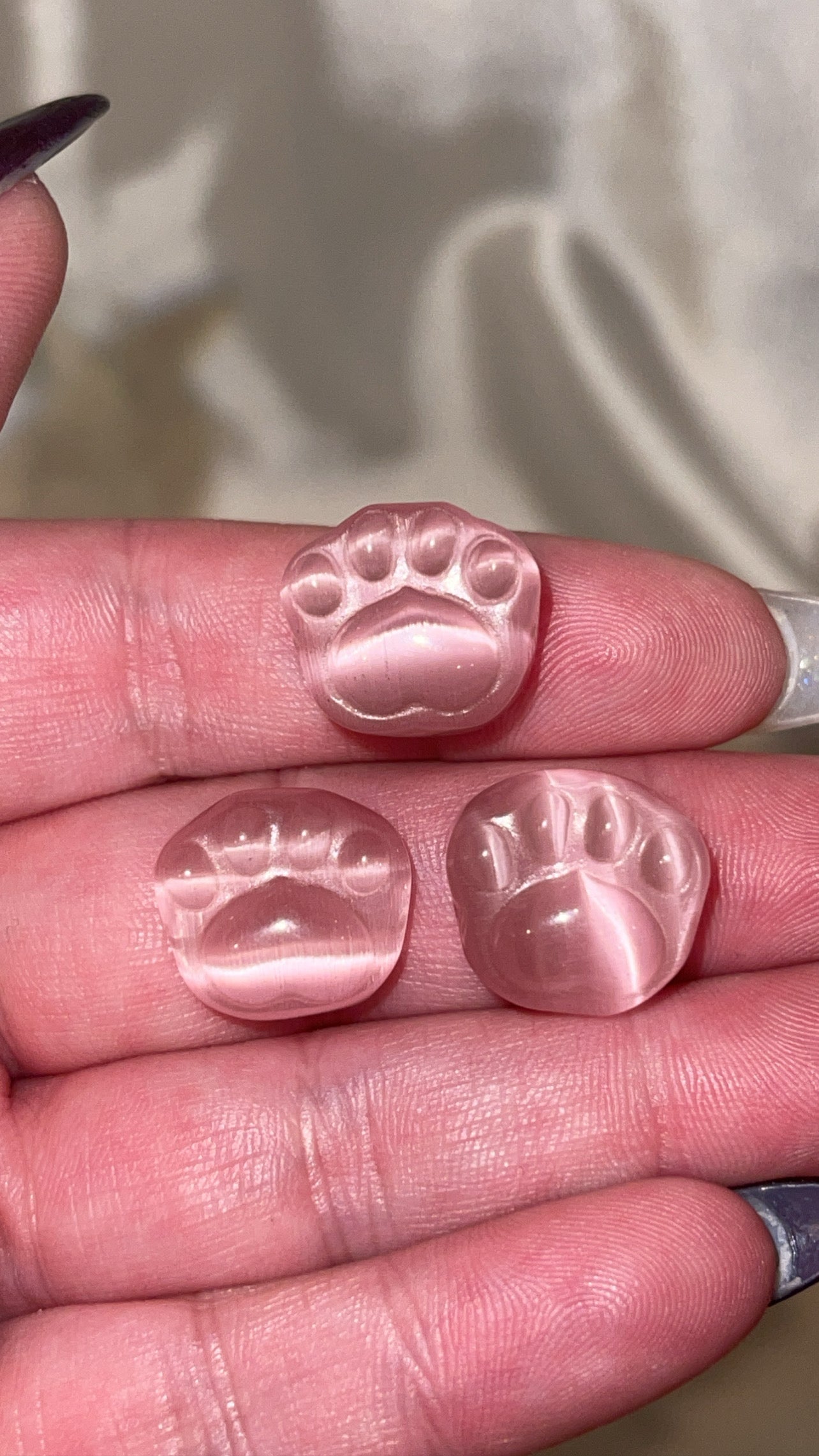 Variety Mini Paw