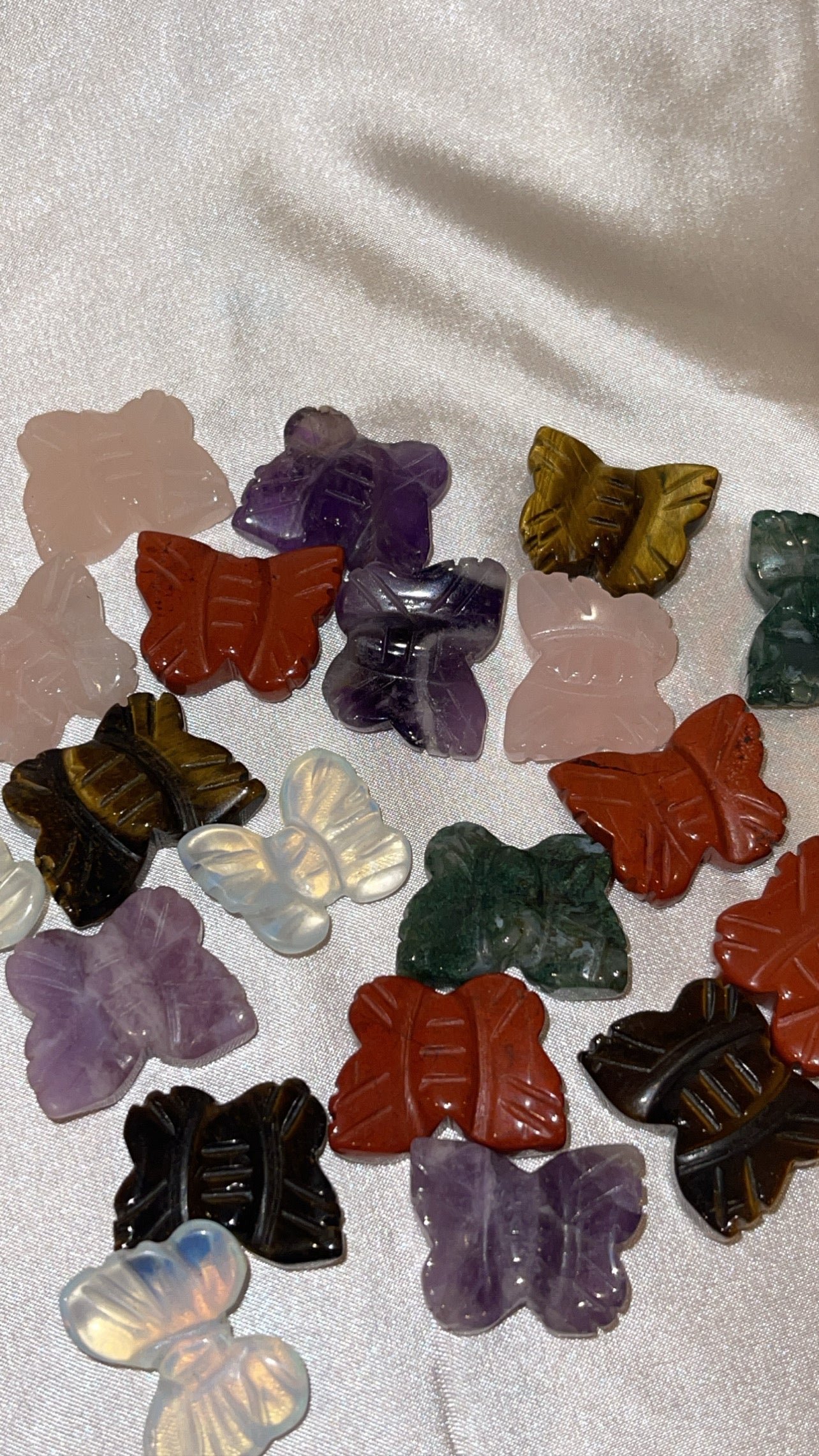 Variety Mini Butterfly