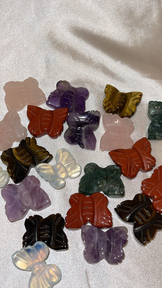 Variety Mini Butterfly