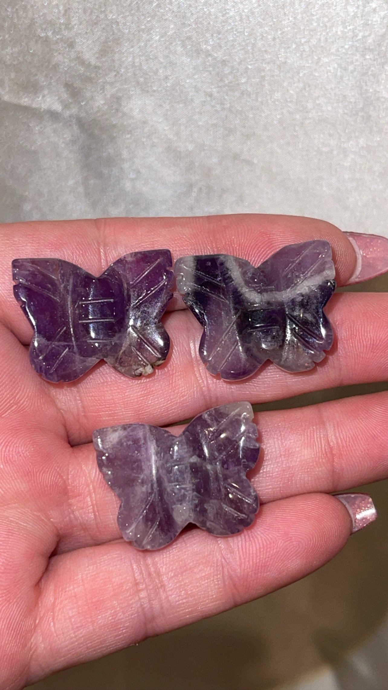 Variety Mini Butterfly