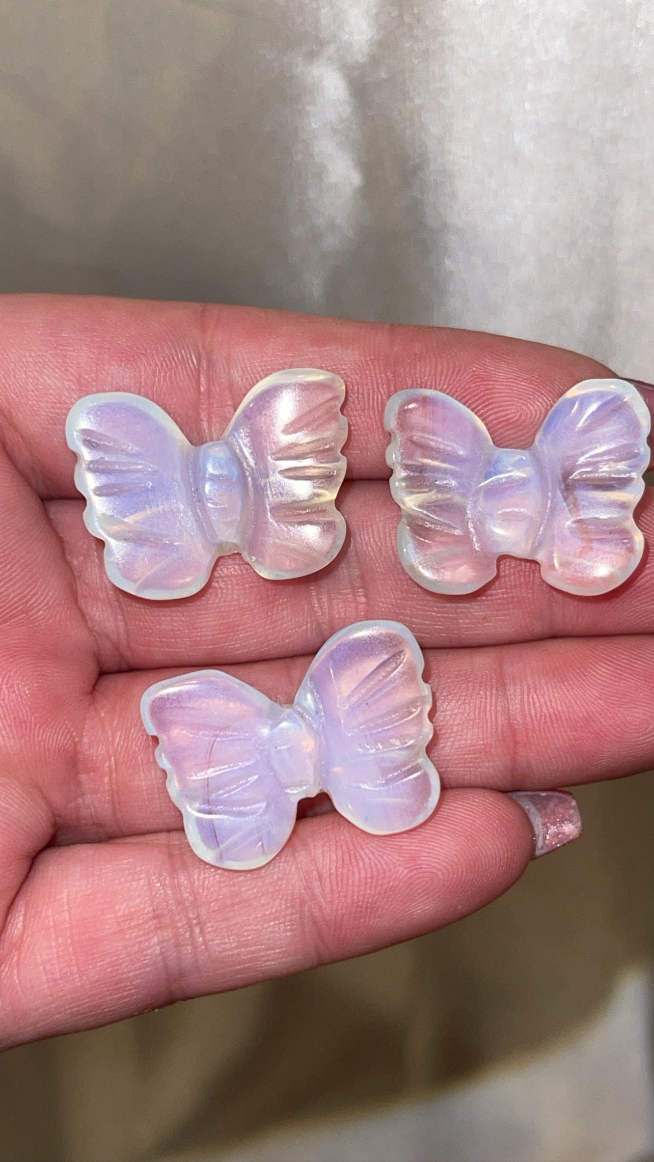 Variety Mini Butterfly