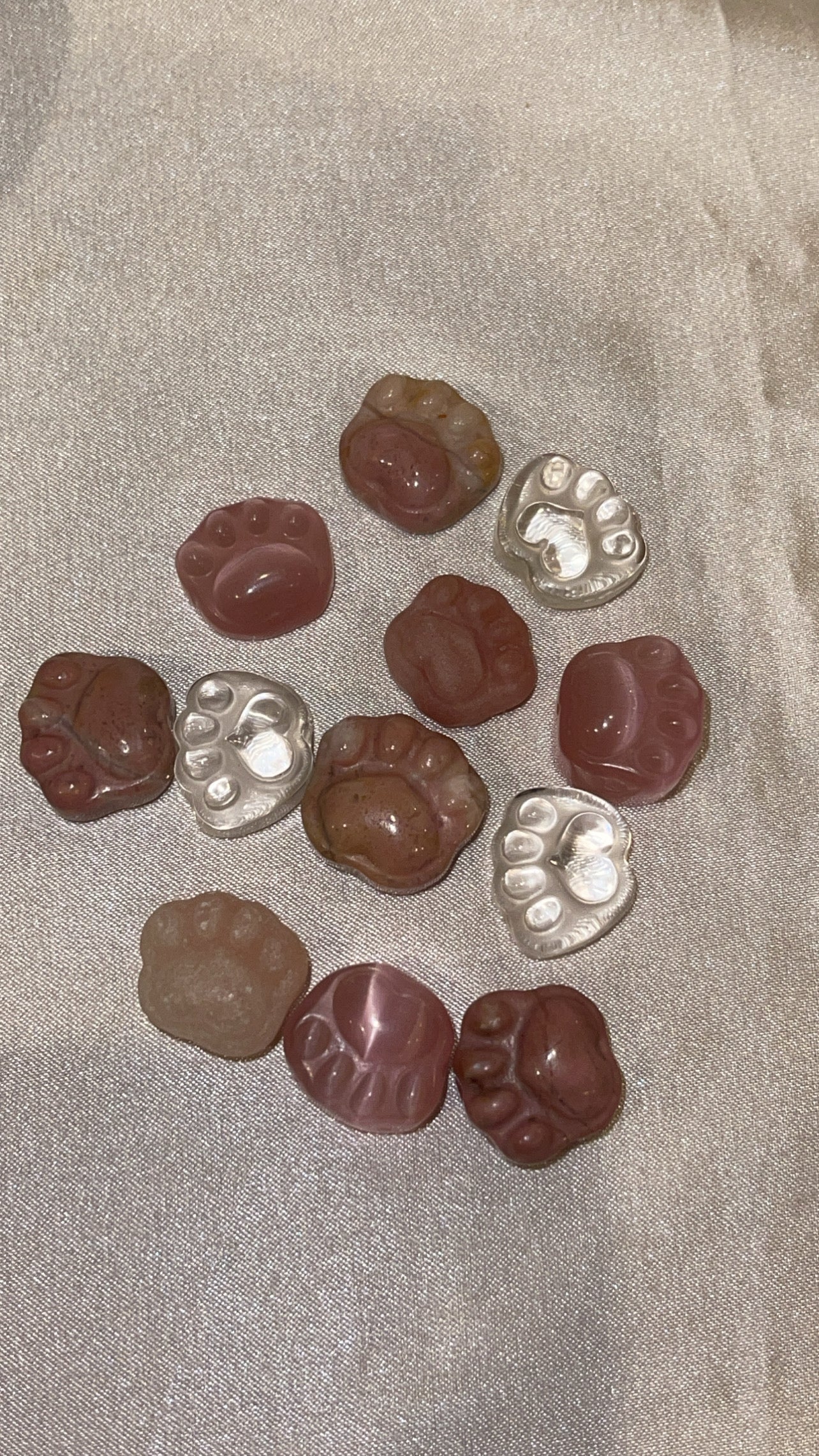 Variety Mini Paw