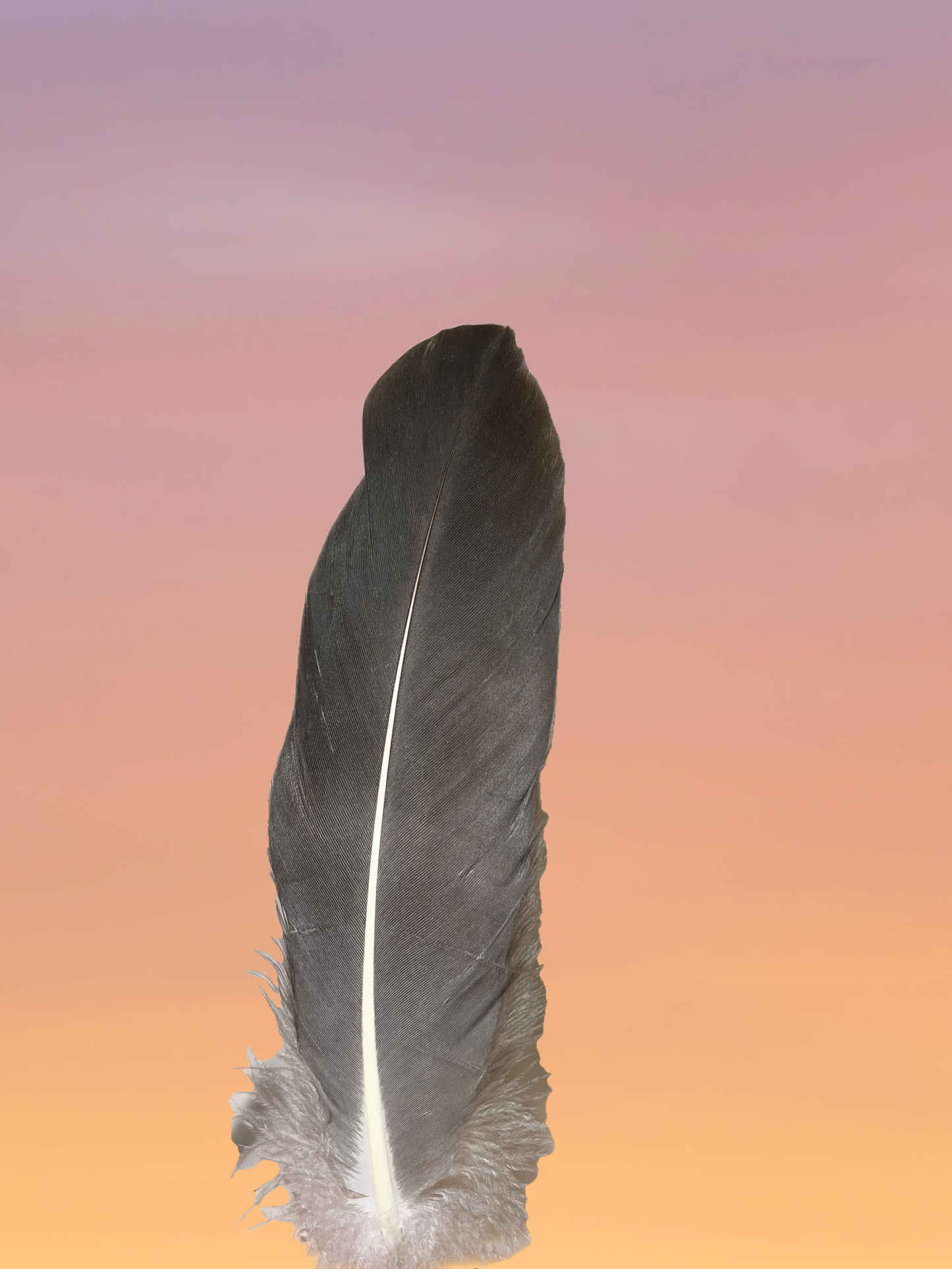 Medium Smudge Feather