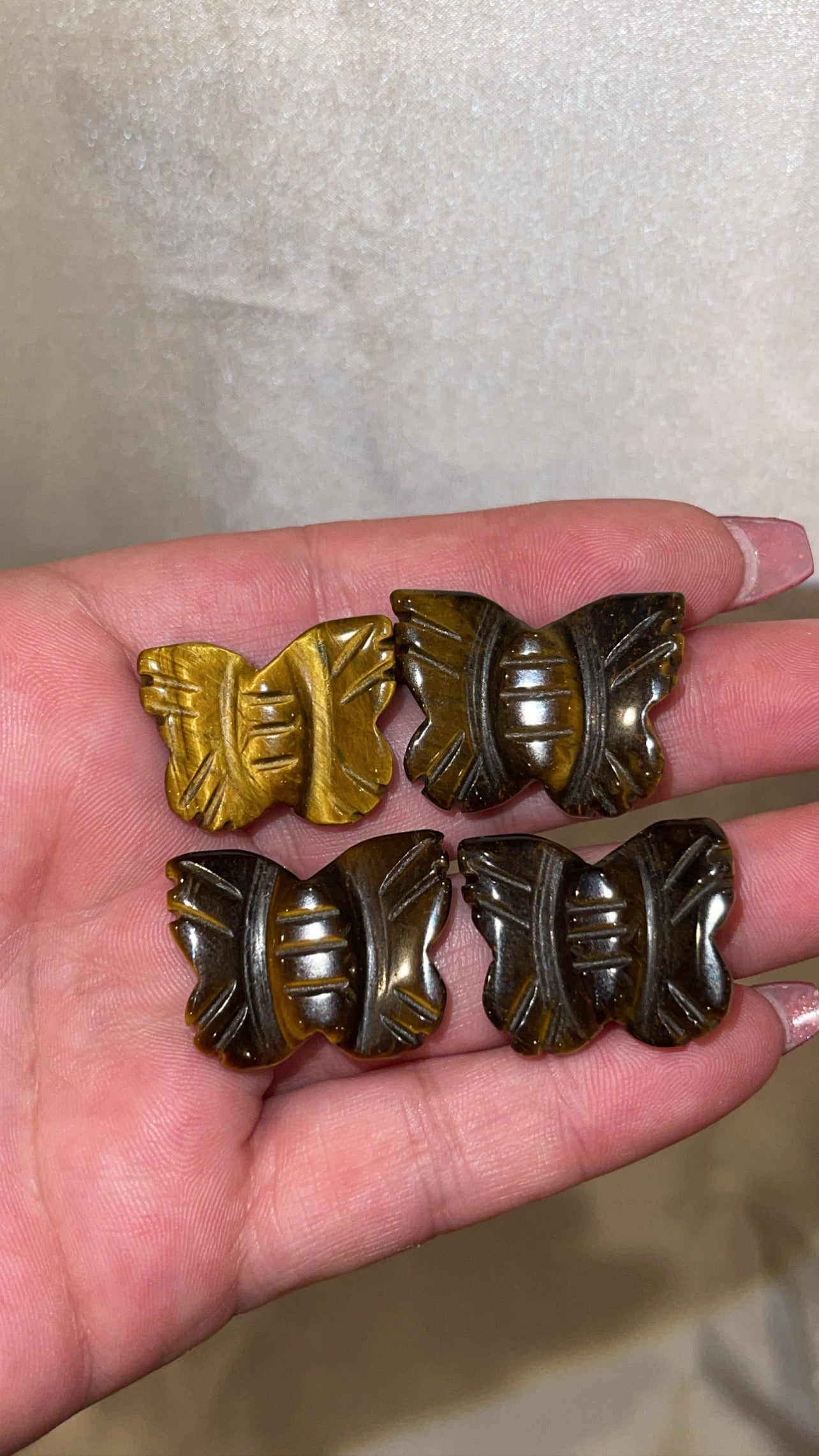 Variety Mini Butterfly