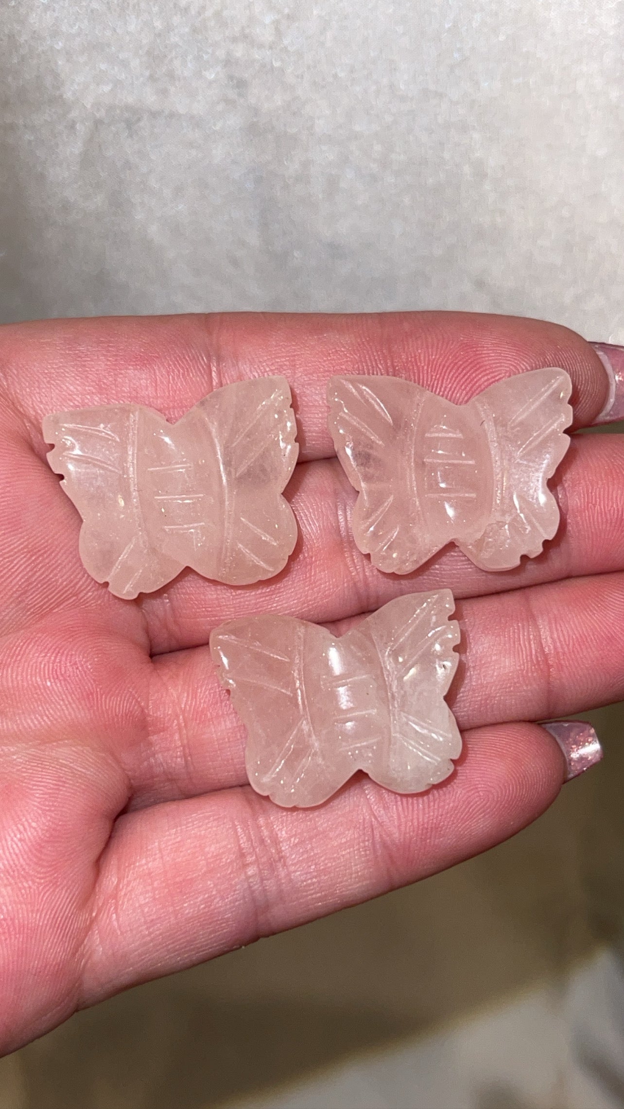 Variety Mini Butterfly