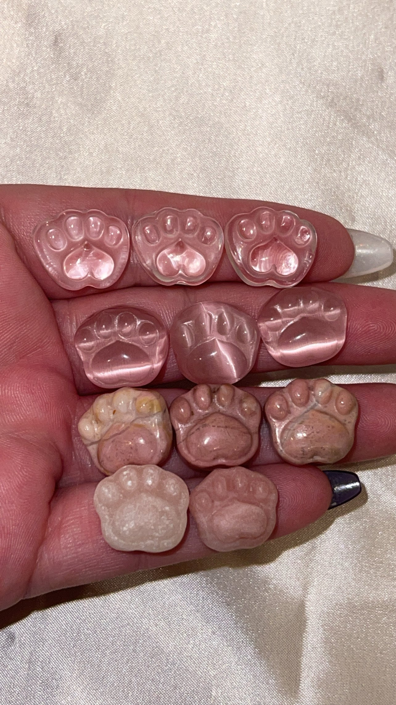 Variety Mini Paw