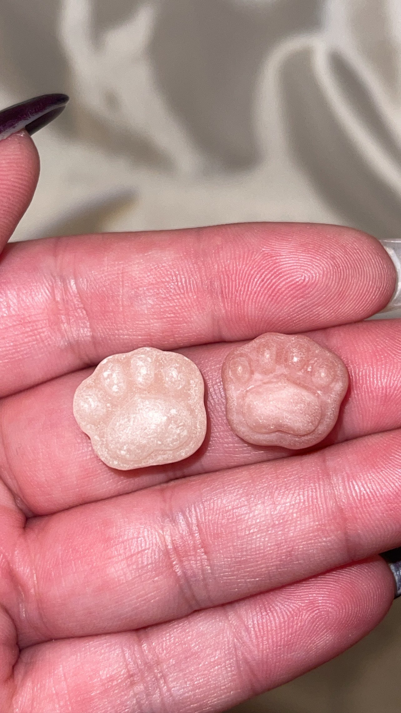 Variety Mini Paw