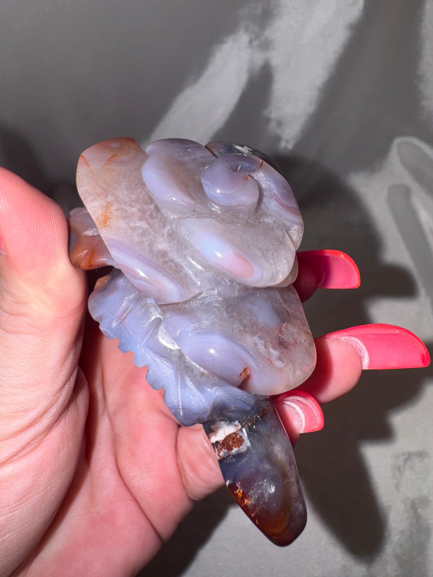 Blue Flower Agate AAA Large Flower
