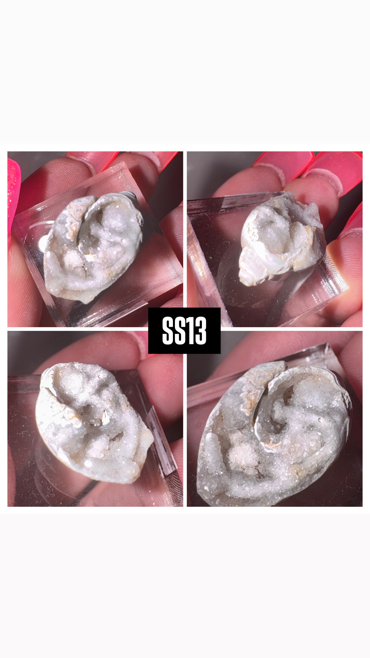 Druzy Fossilized Spiralite Quartz Shell Specimen