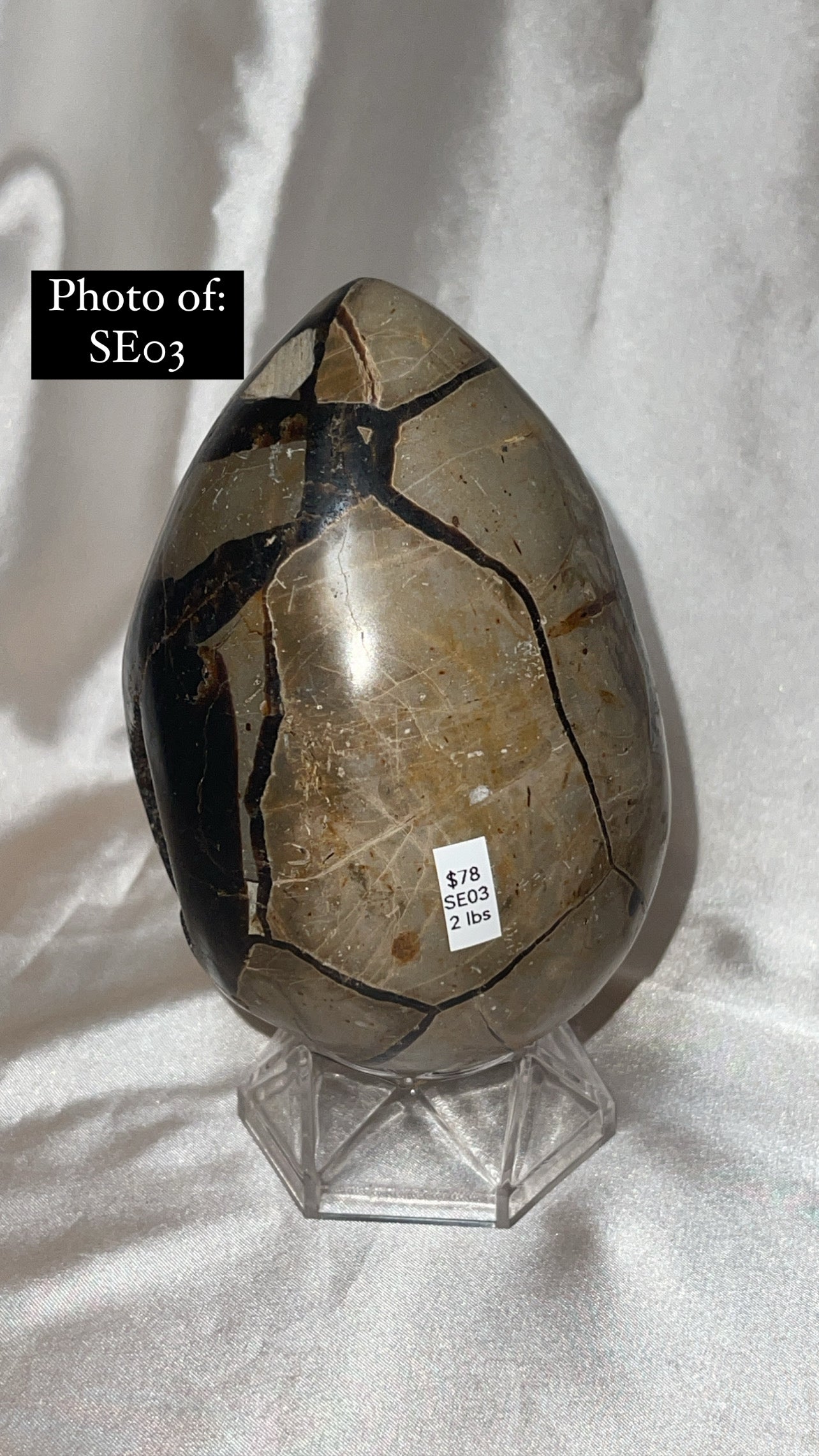 Septerian Large Dragon Egg