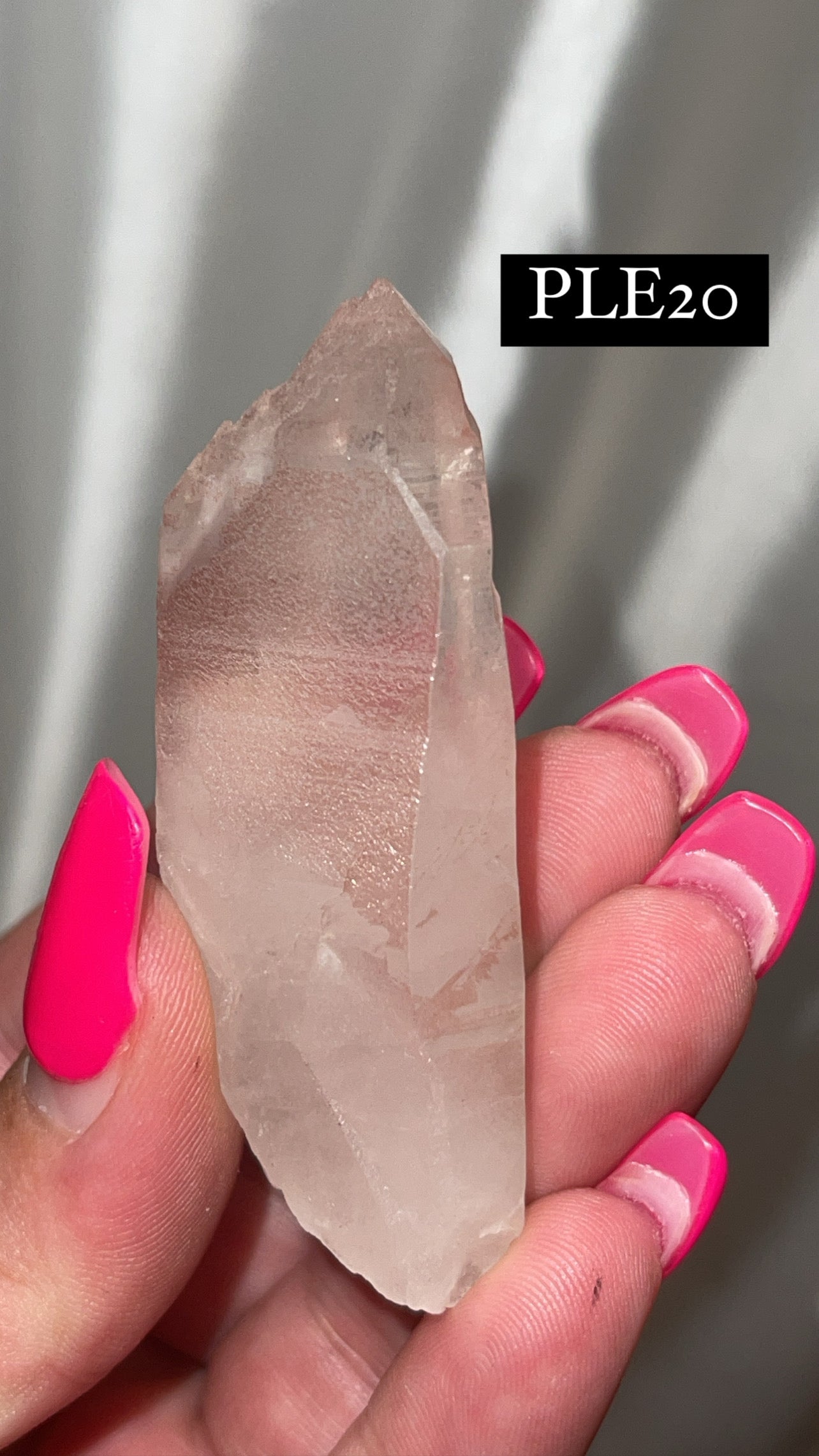 Scarlet Temple Lemurian (Choose Your Own)
