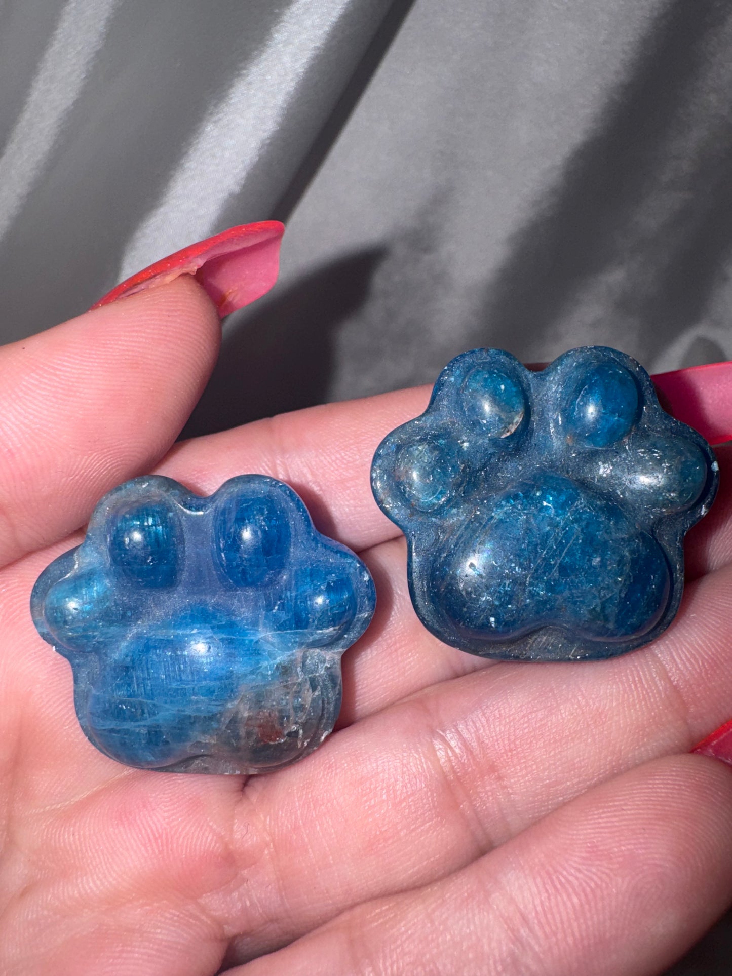 Crystal Paw Print