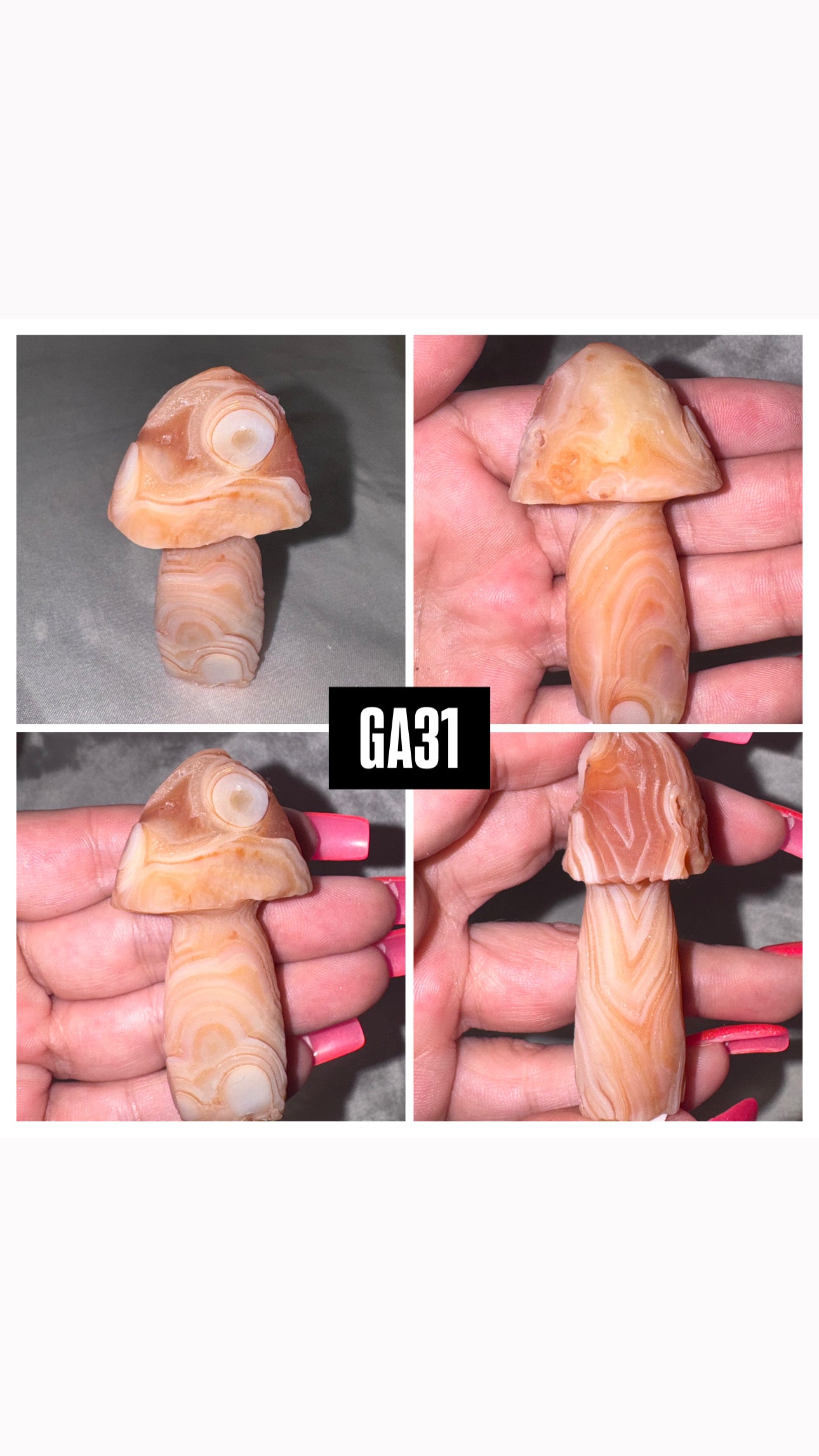 Gobi Desert Agate Mushroom