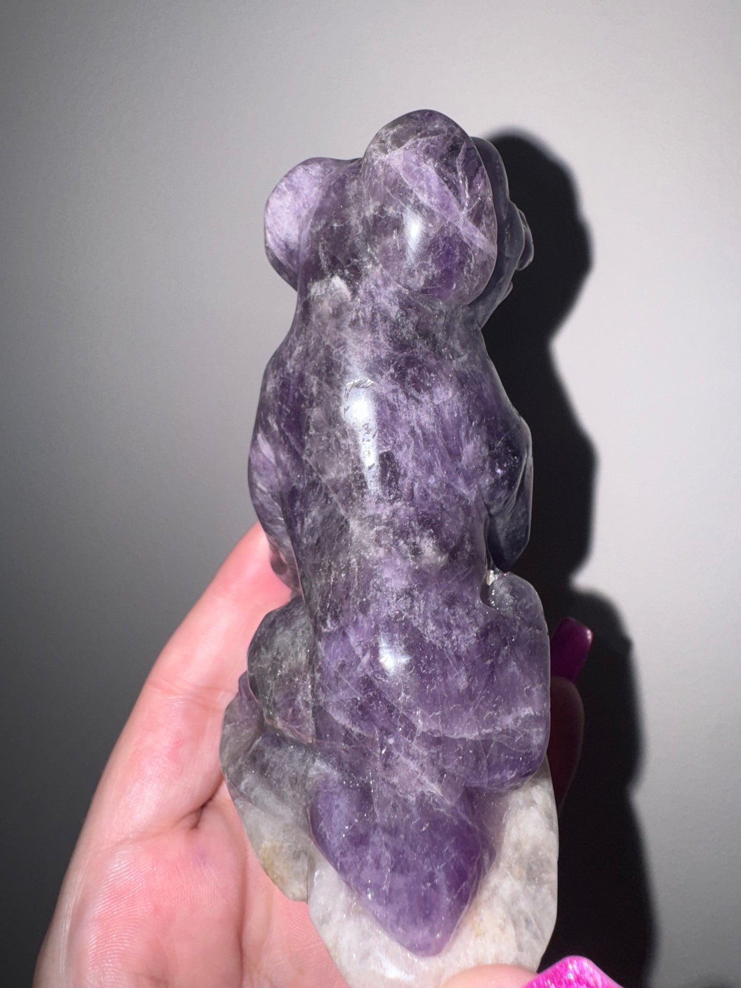 Amethyst Large Dog