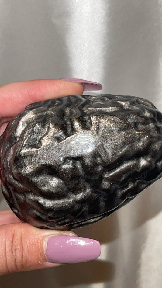 Silver Sheen Obsidian Large Anatomical Brain