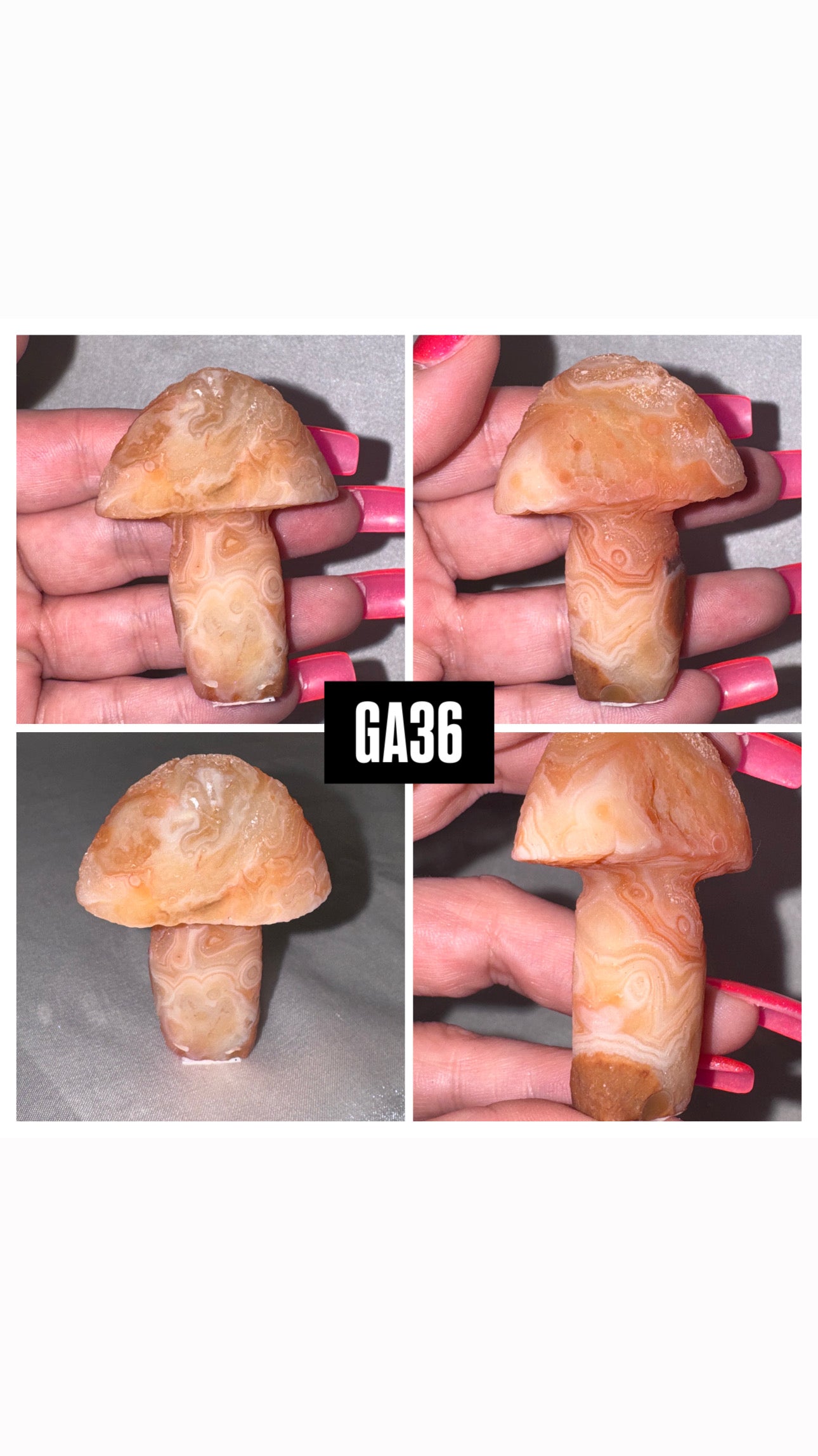 Gobi Desert Agate Mushroom