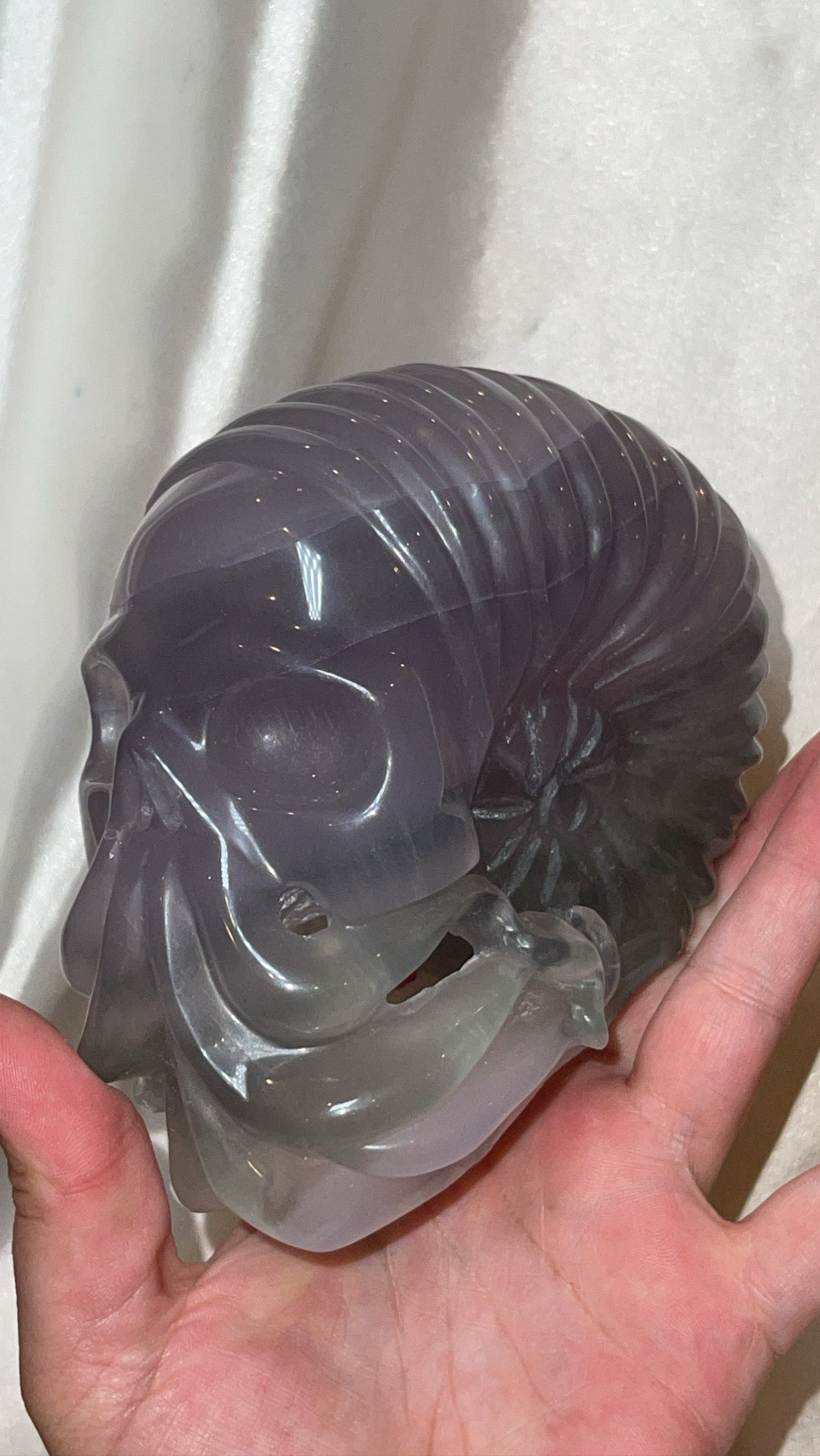 Yttrium Fluorite AAA XXL Ammonite Squid Skull