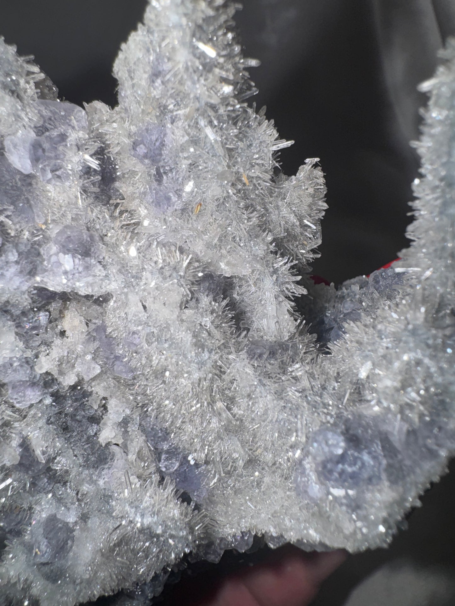 “Tanzanite” Fluorite with Needle Quartz XL Display Specimen