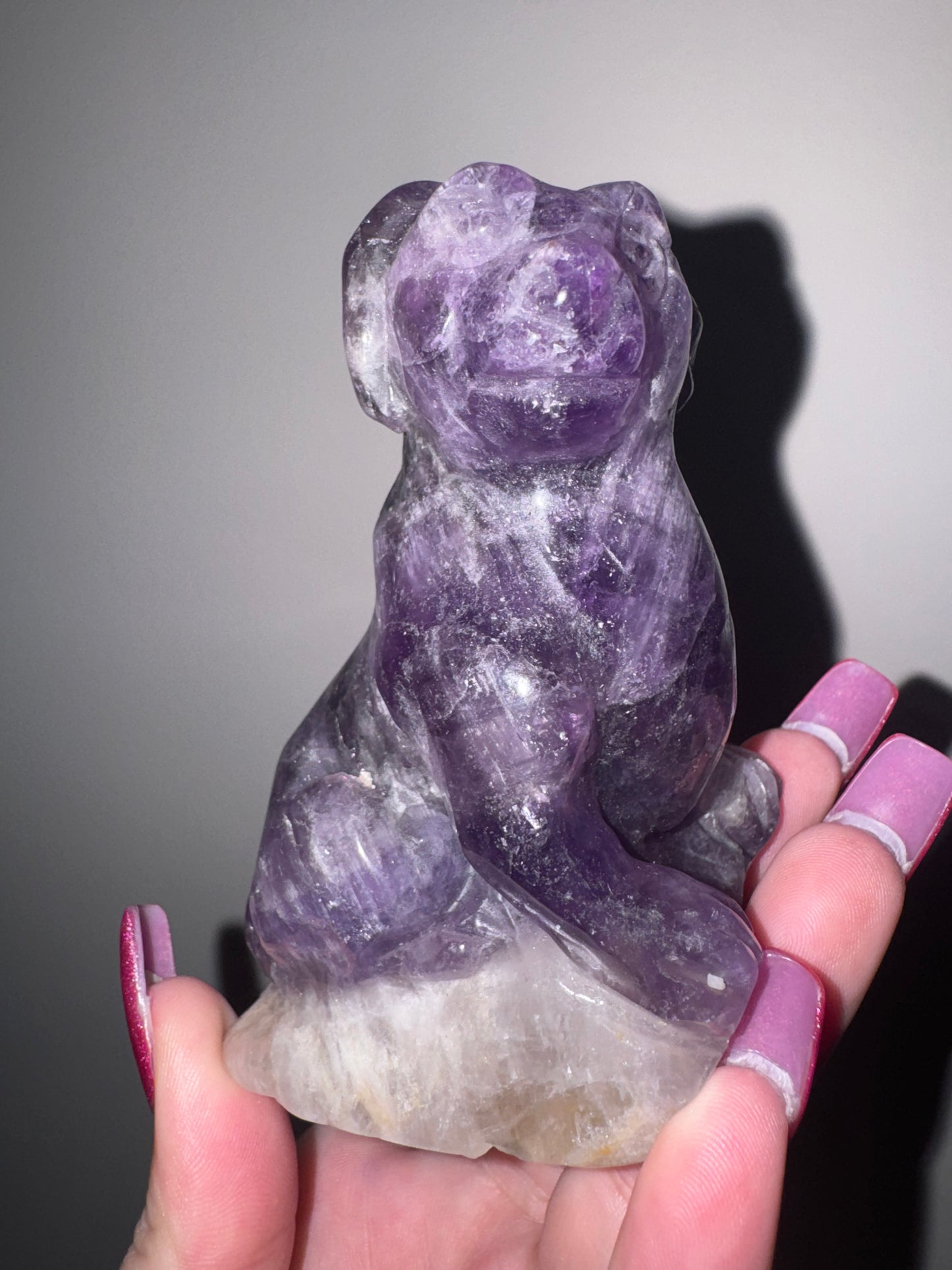 Amethyst Large Dog