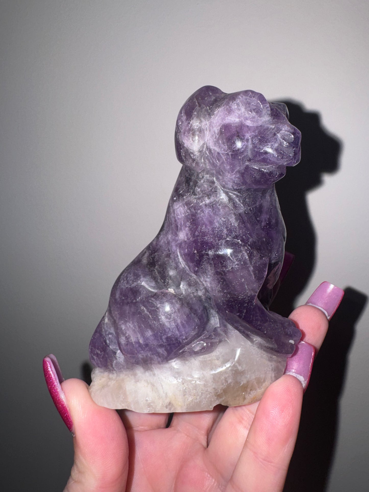 Amethyst Large Dog