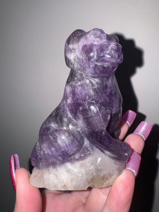 Amethyst Large Dog