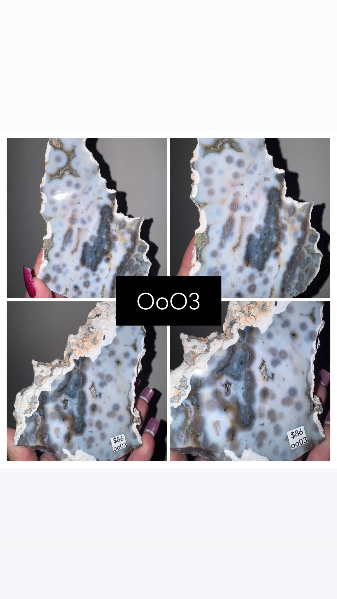 Blue Orbicular Ocean Jasper Slab