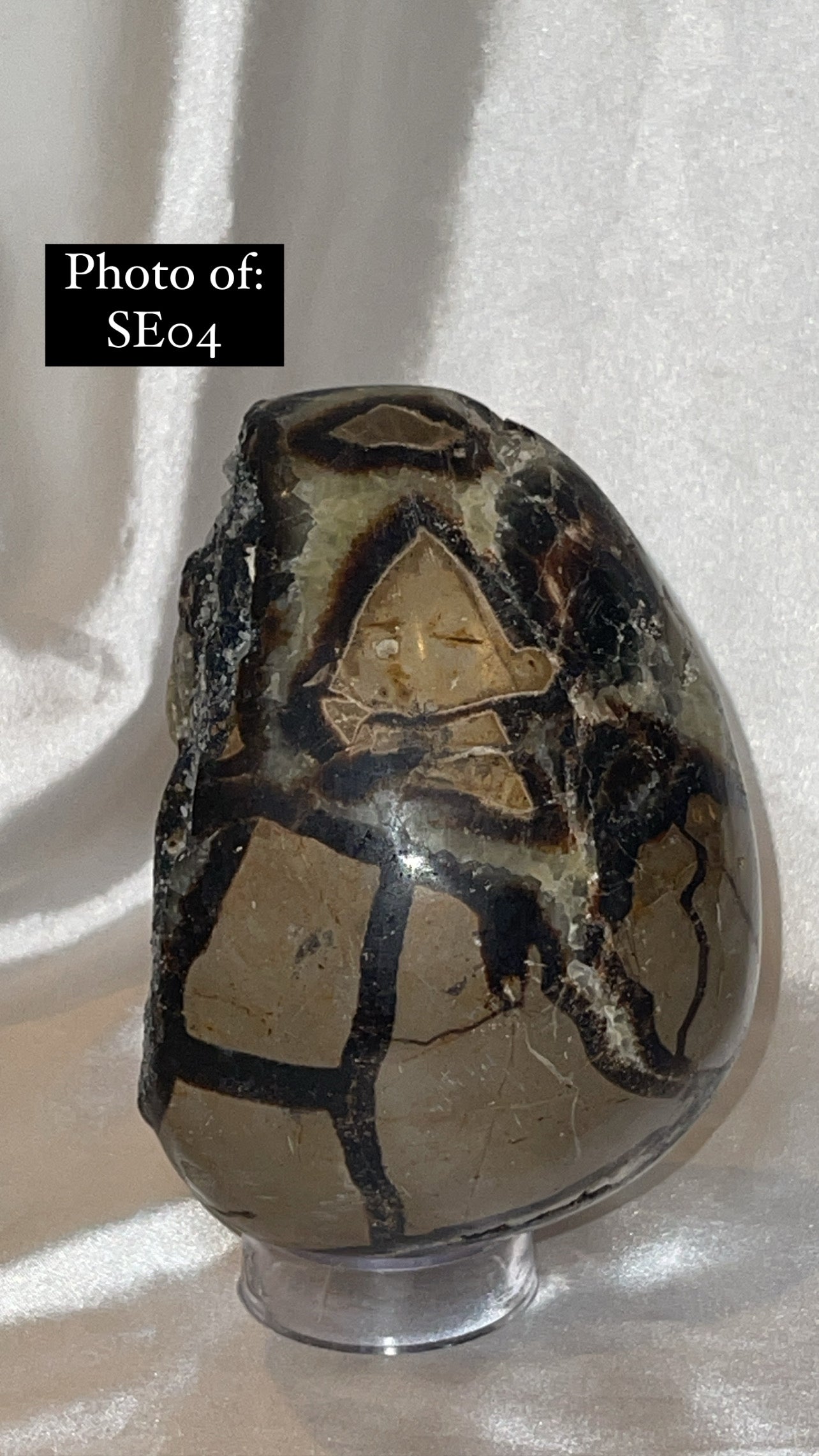Septerian Large Dragon Egg