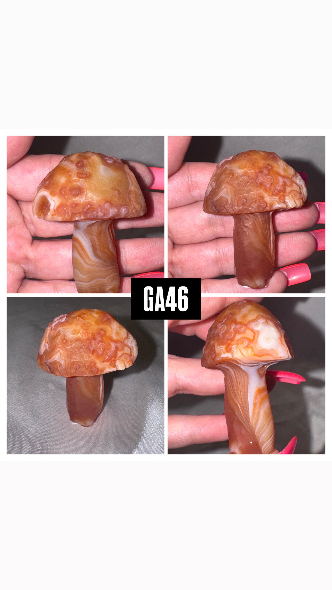 Gobi Desert Agate Mushroom