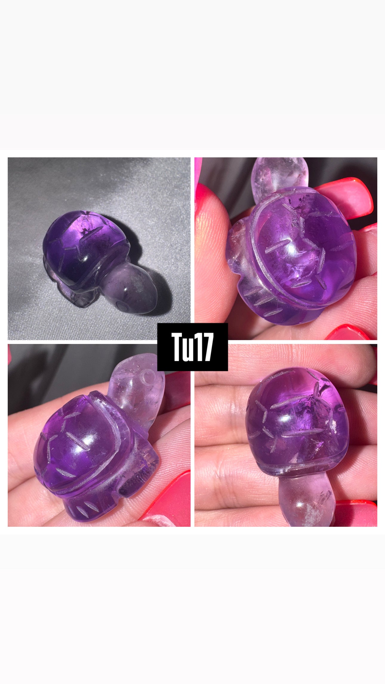 Amethyst AAA Turtle